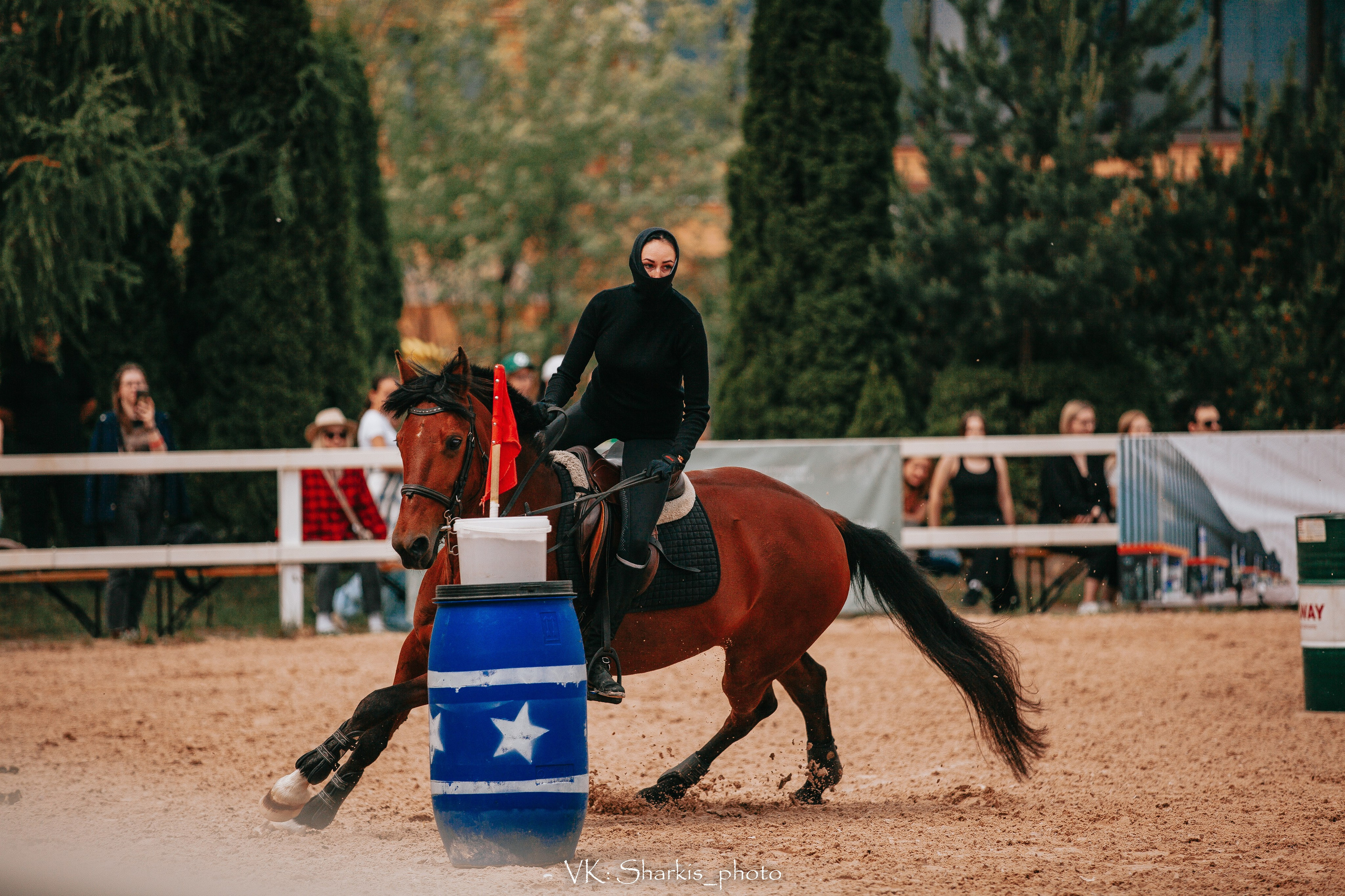 Лошади. Главная