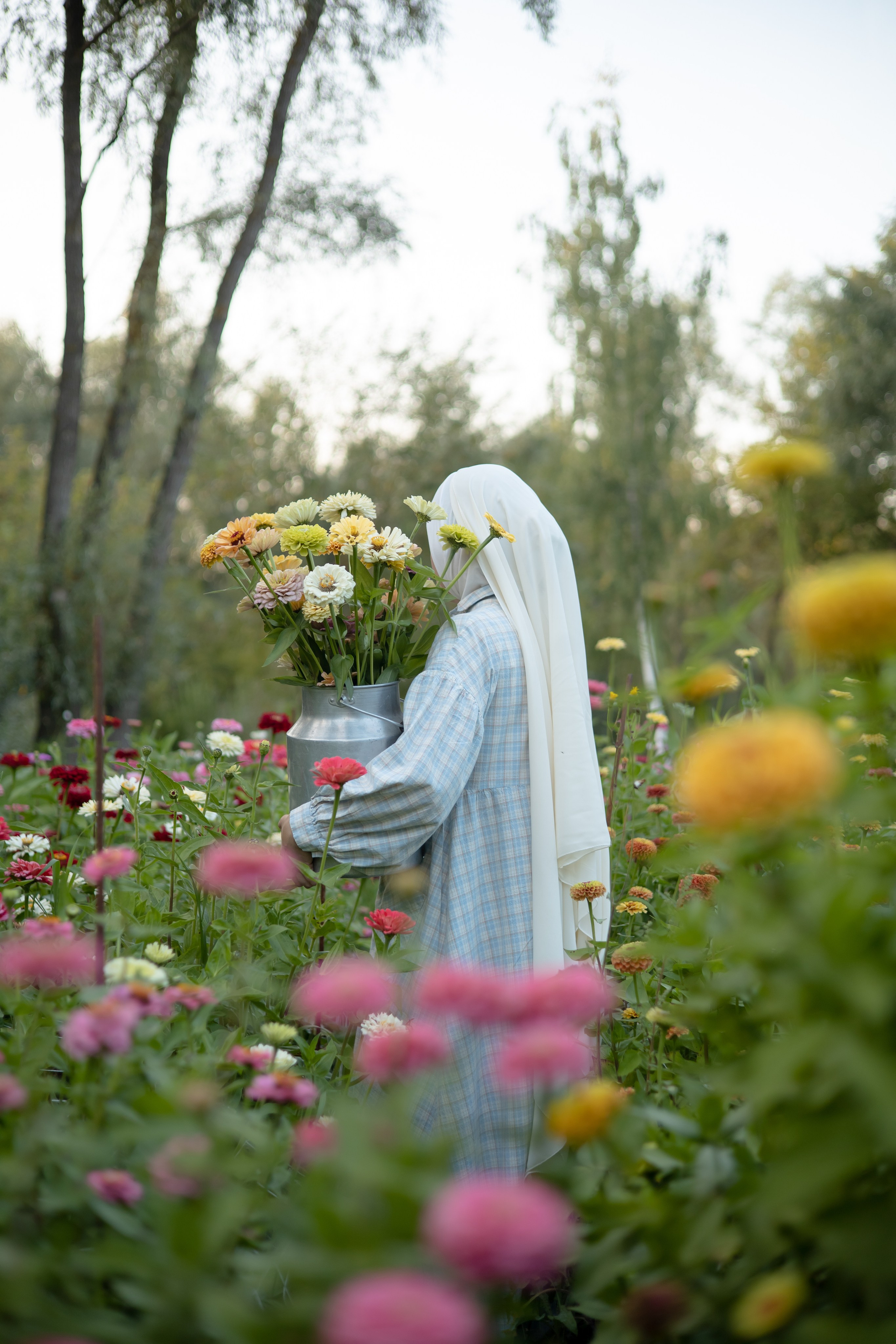 ДИНИЯ. Фотограф Элла Ефимова