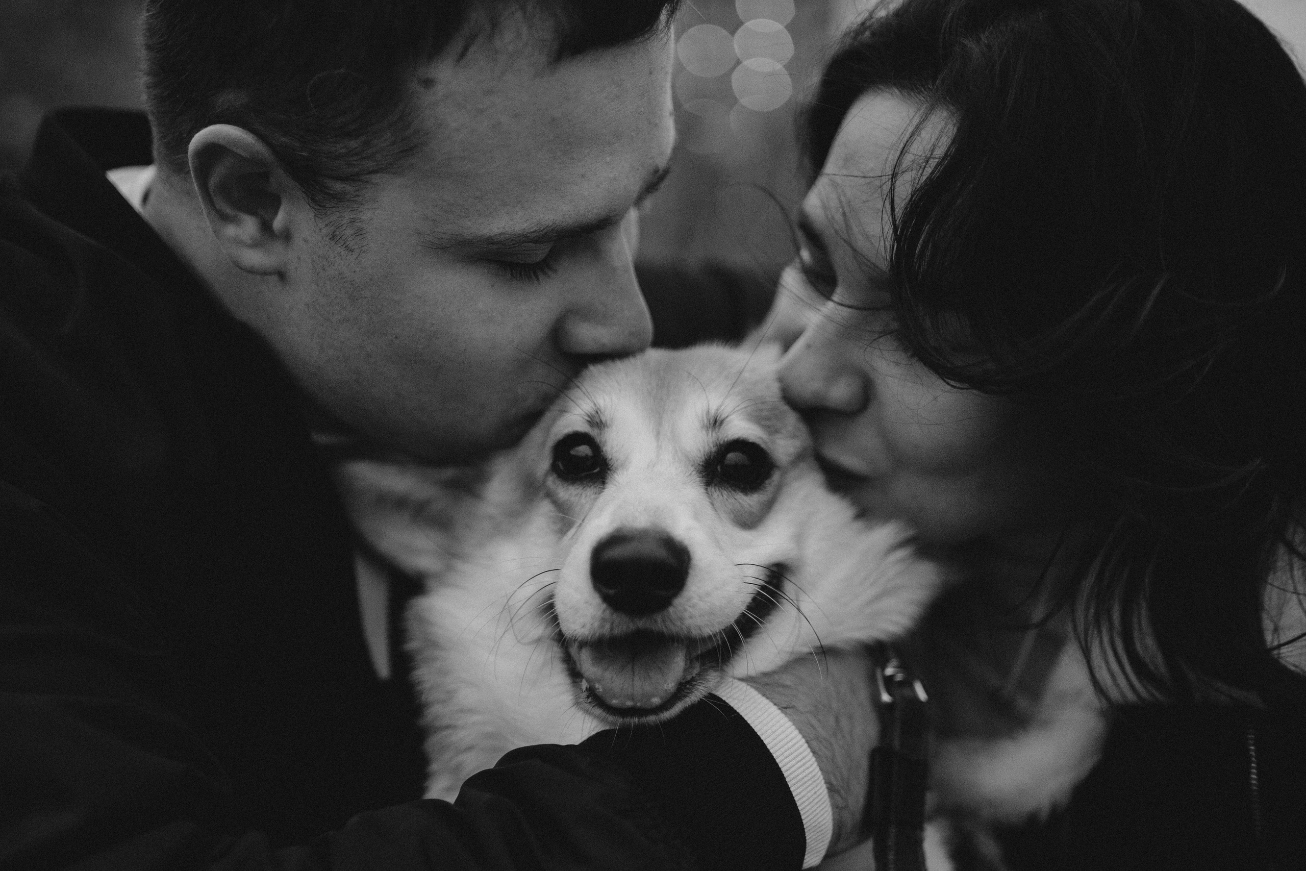 Настя, Никита и Мерси. Семейный и детский фотограф Красноярск Иркутск Денк Анна