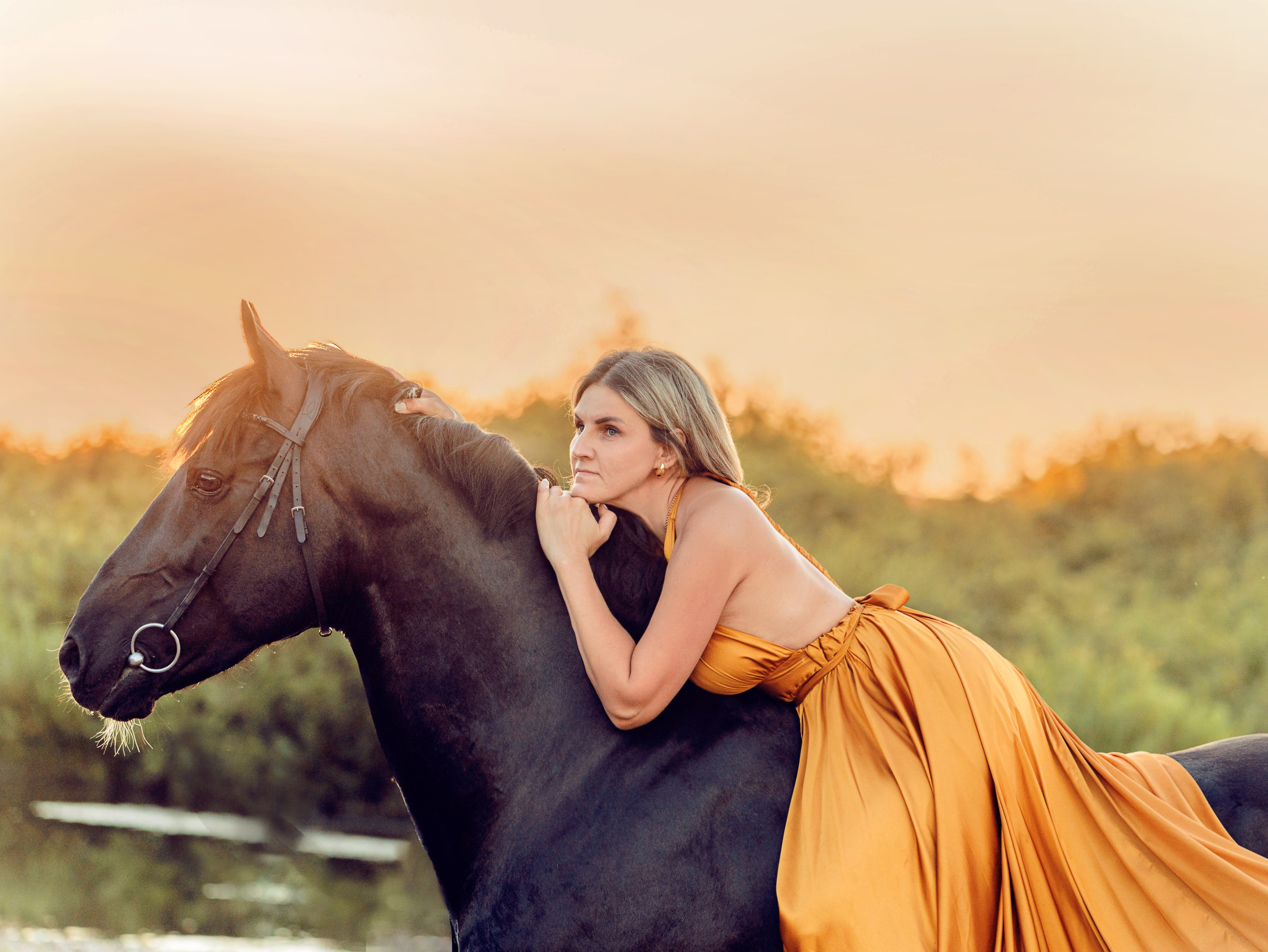 Лошади Емельяново. Конный фотограф в Красноярске — Любовь Похабова
