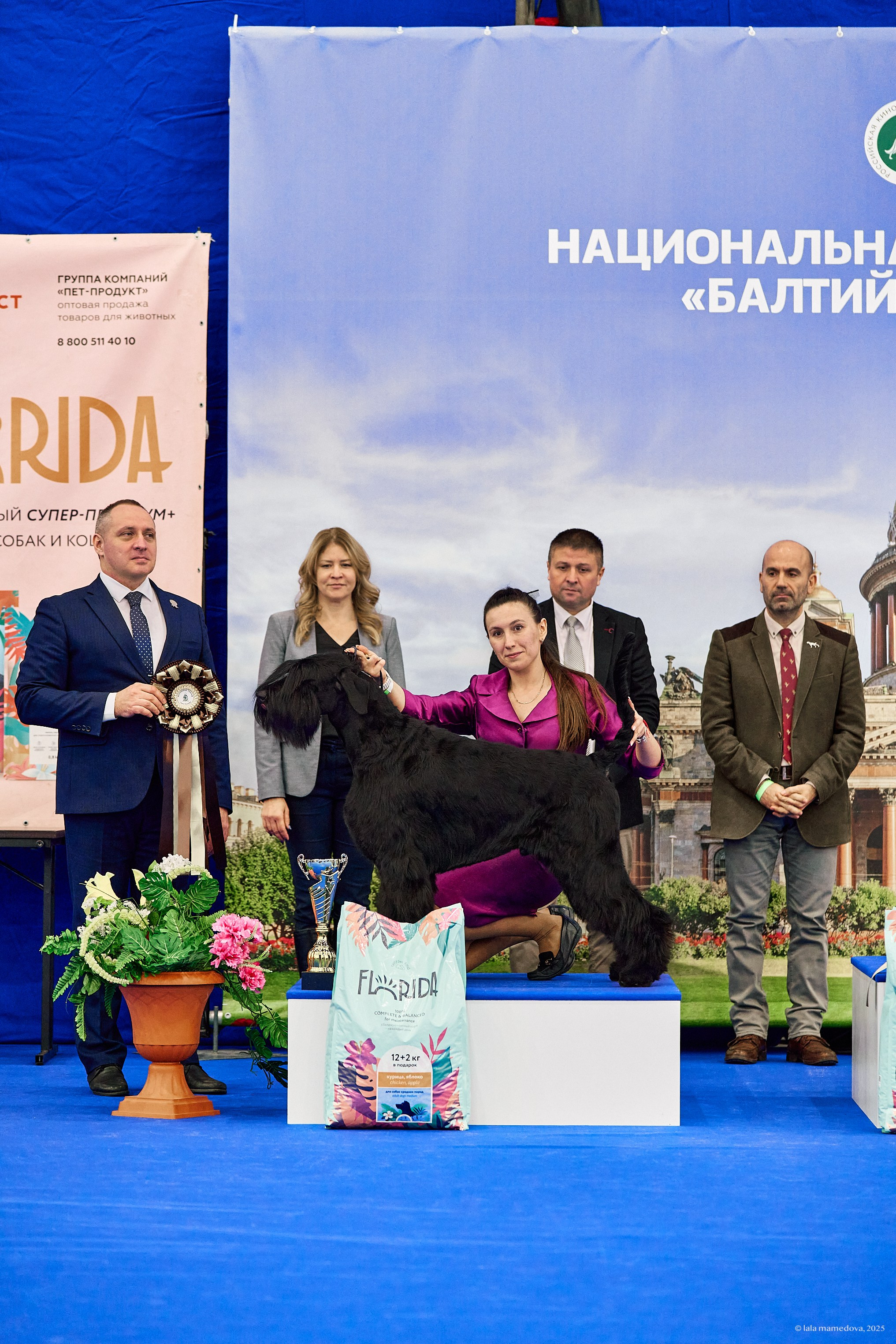 22-23 FEB 2025 | NATIONAL DOG SHOW «BALTIC TRIUMPH-2025»