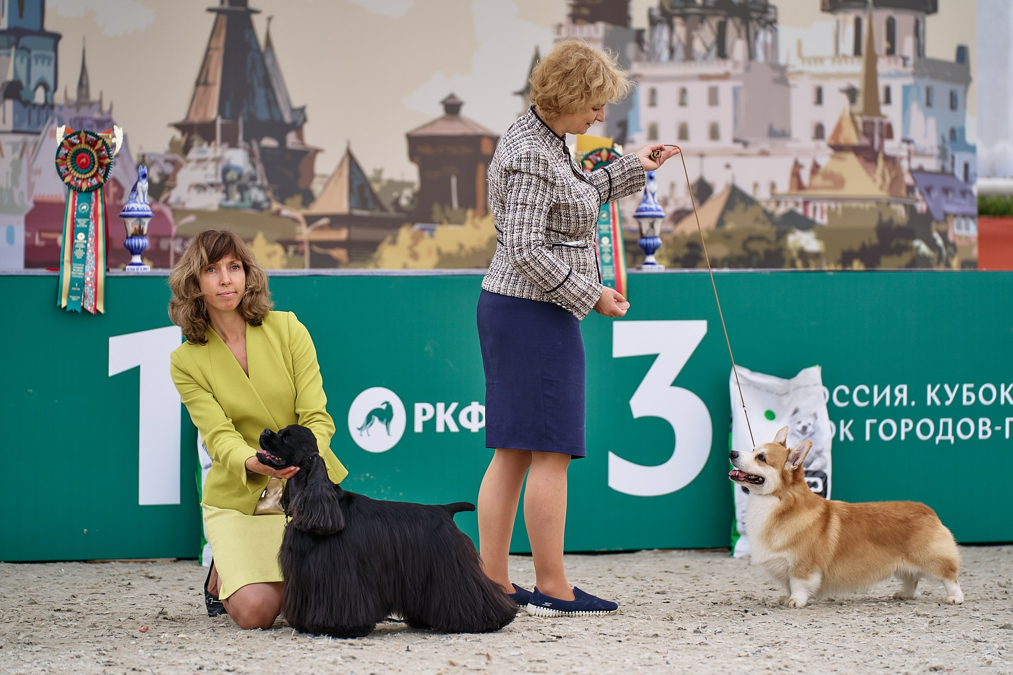 09.06.2024, «РОССИЯ. КУБОК МОСКВЫ 2024 & КУБОК ГОРОДОВ-ГЕРОЕВ»