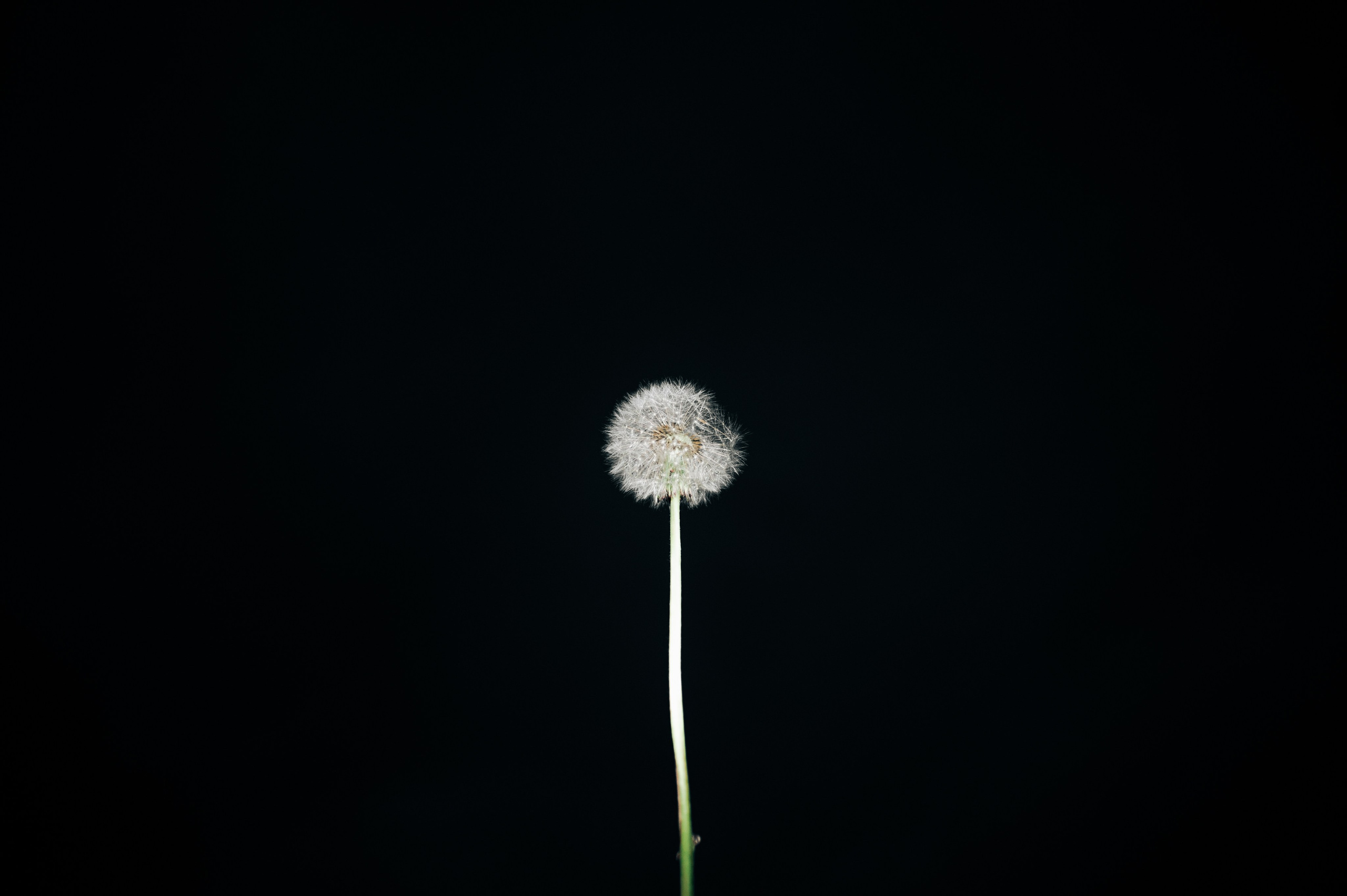 Фрагменты настоящего. Photographer Alik Melkonyan