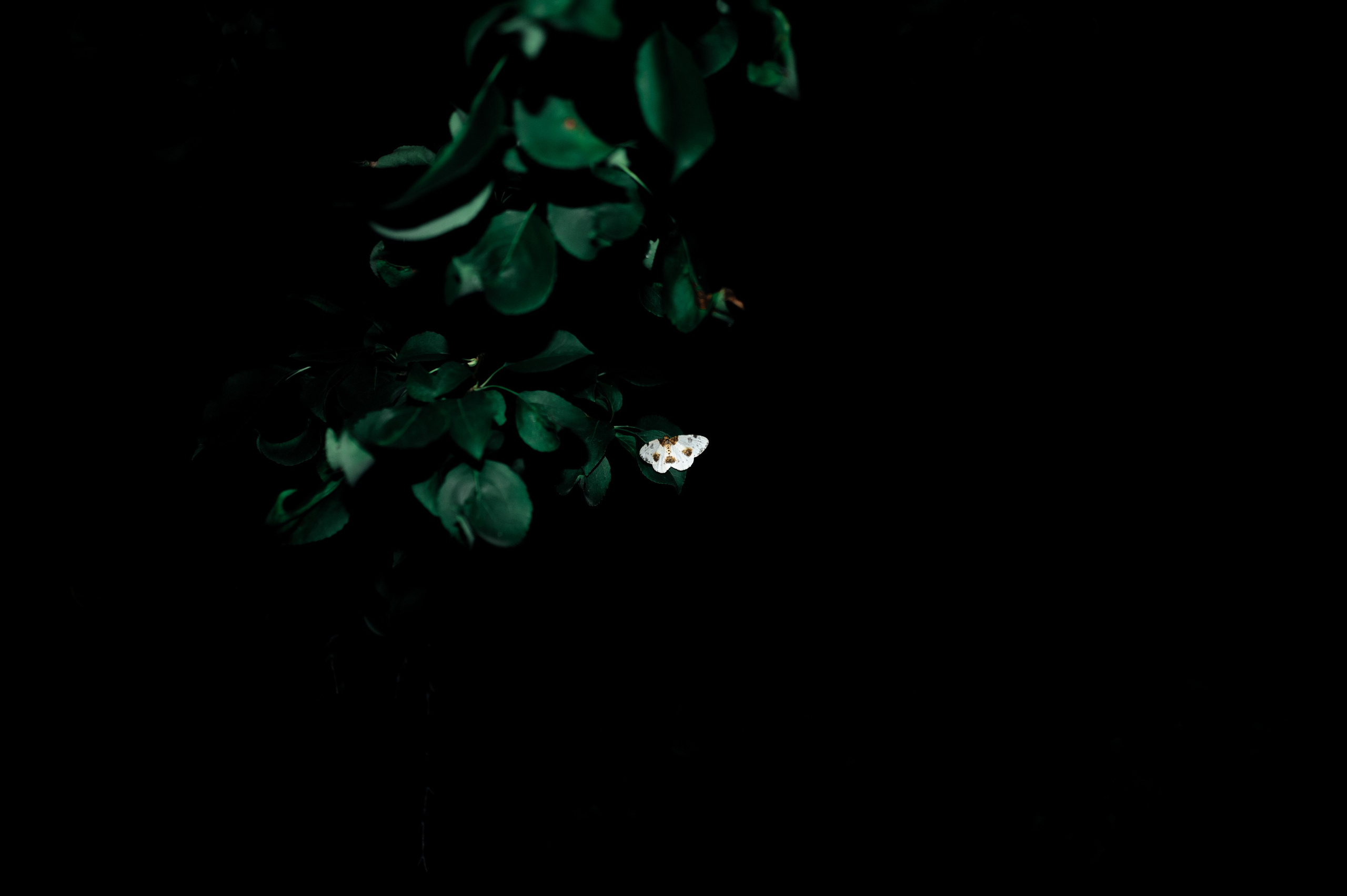 Фрагменты настоящего. Photographer Alik Melkonyan
