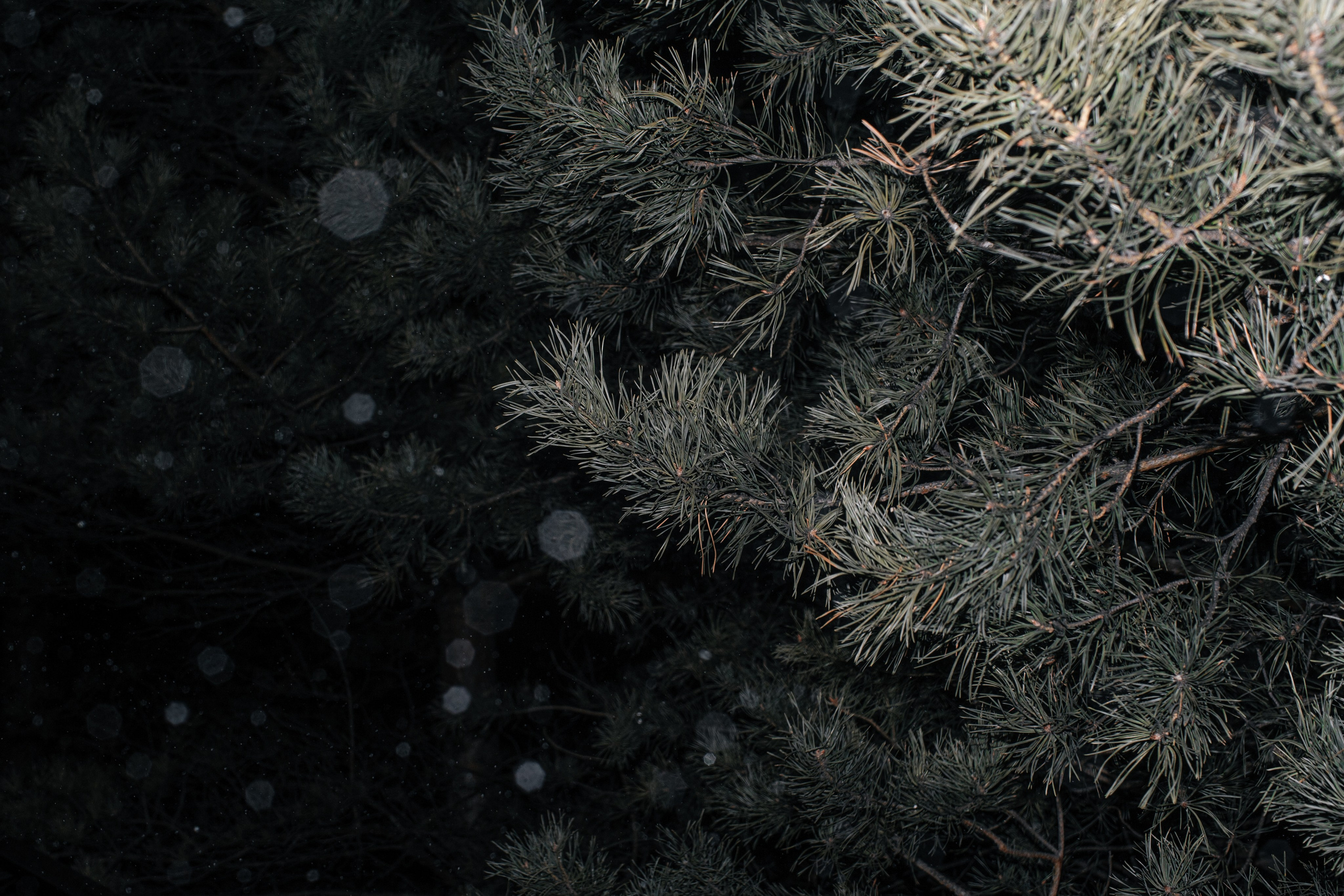 Фрагменты настоящего. Photographer Alik Melkonyan