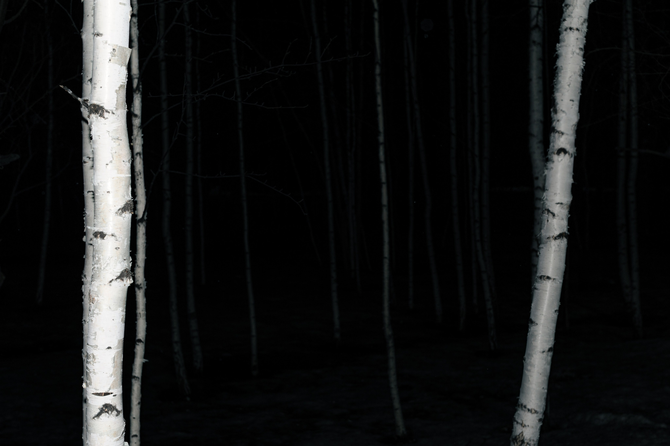 Фрагменты настоящего. Photographer Alik Melkonyan