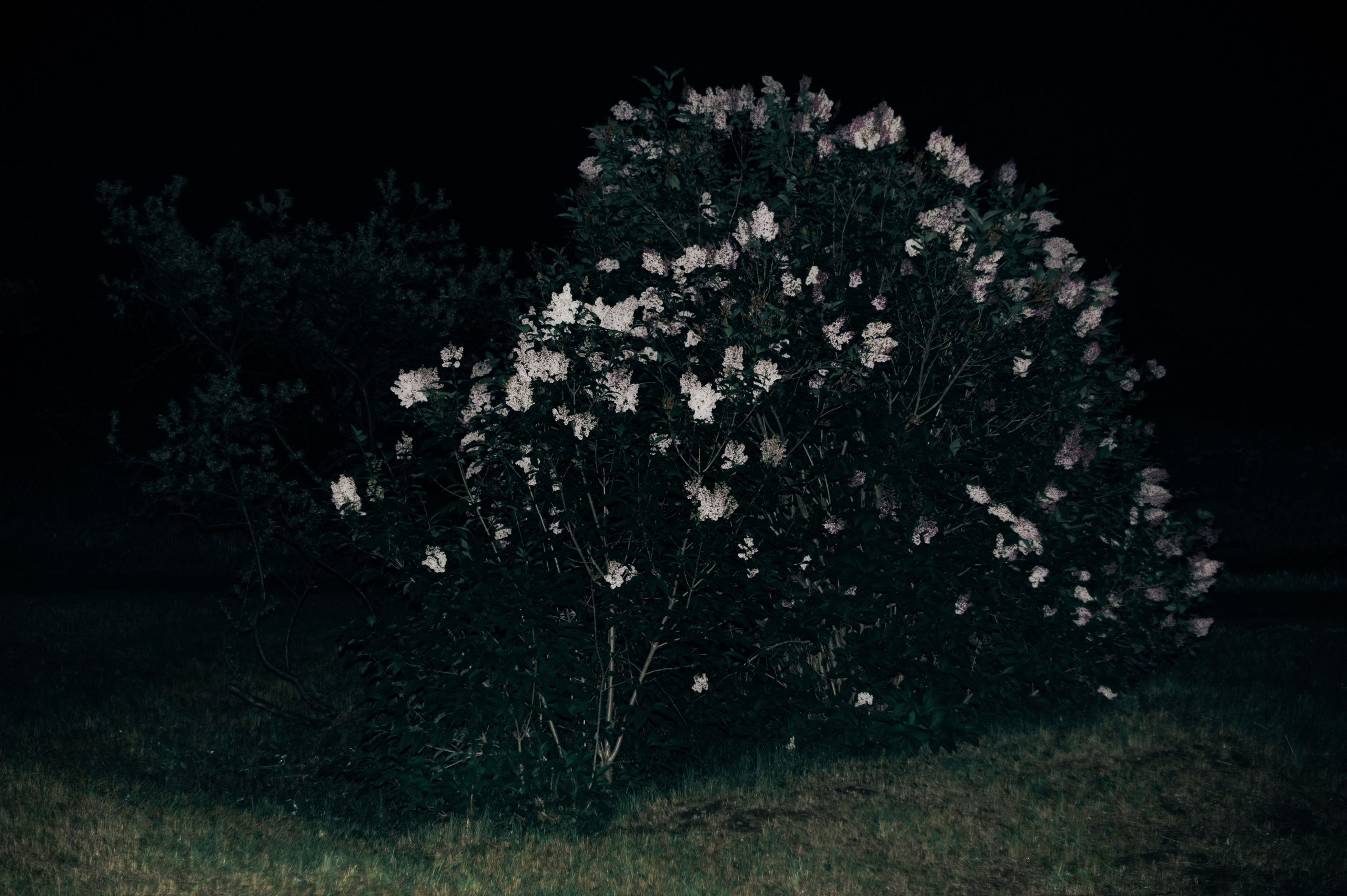 Фрагменты настоящего. Photographer Alik Melkonyan
