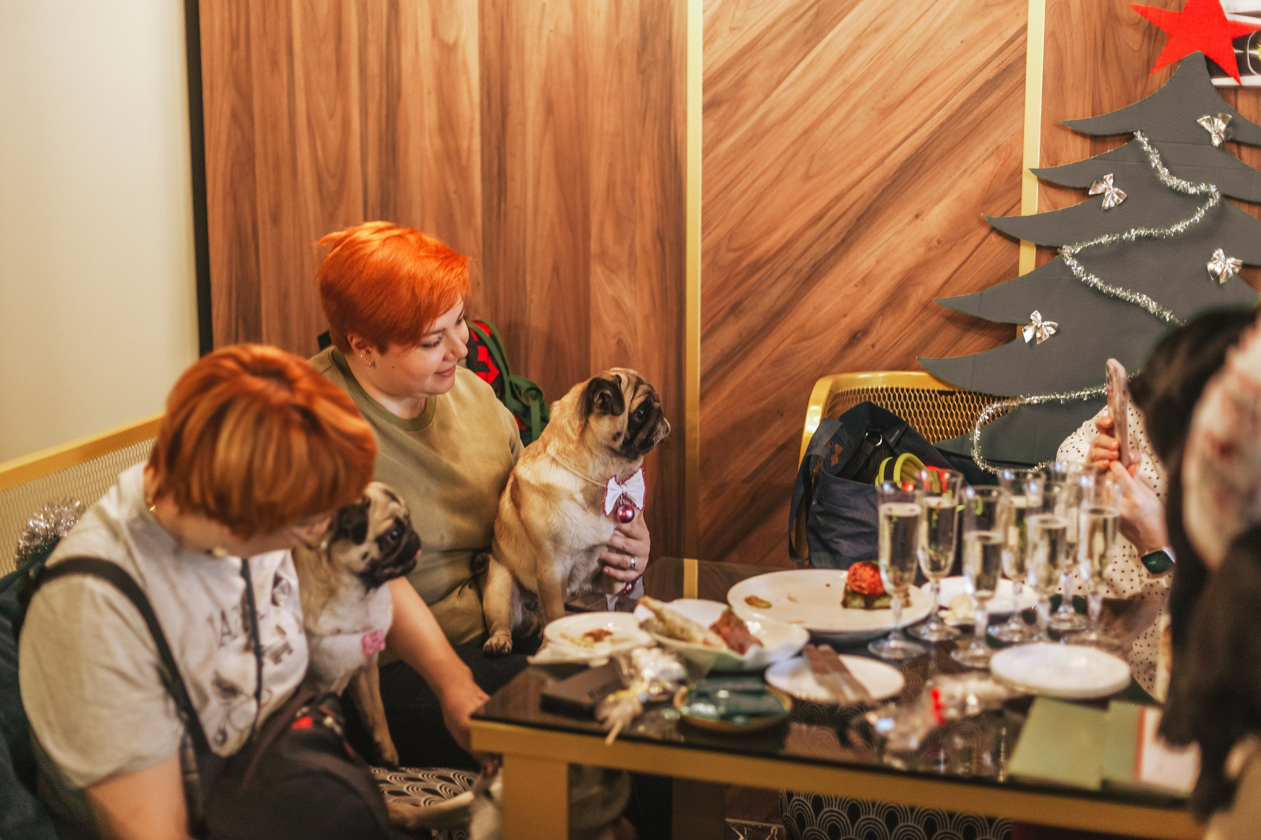 Мопсовстреча 02.12.2023. Фотограф-анималист Татьяна Степанова