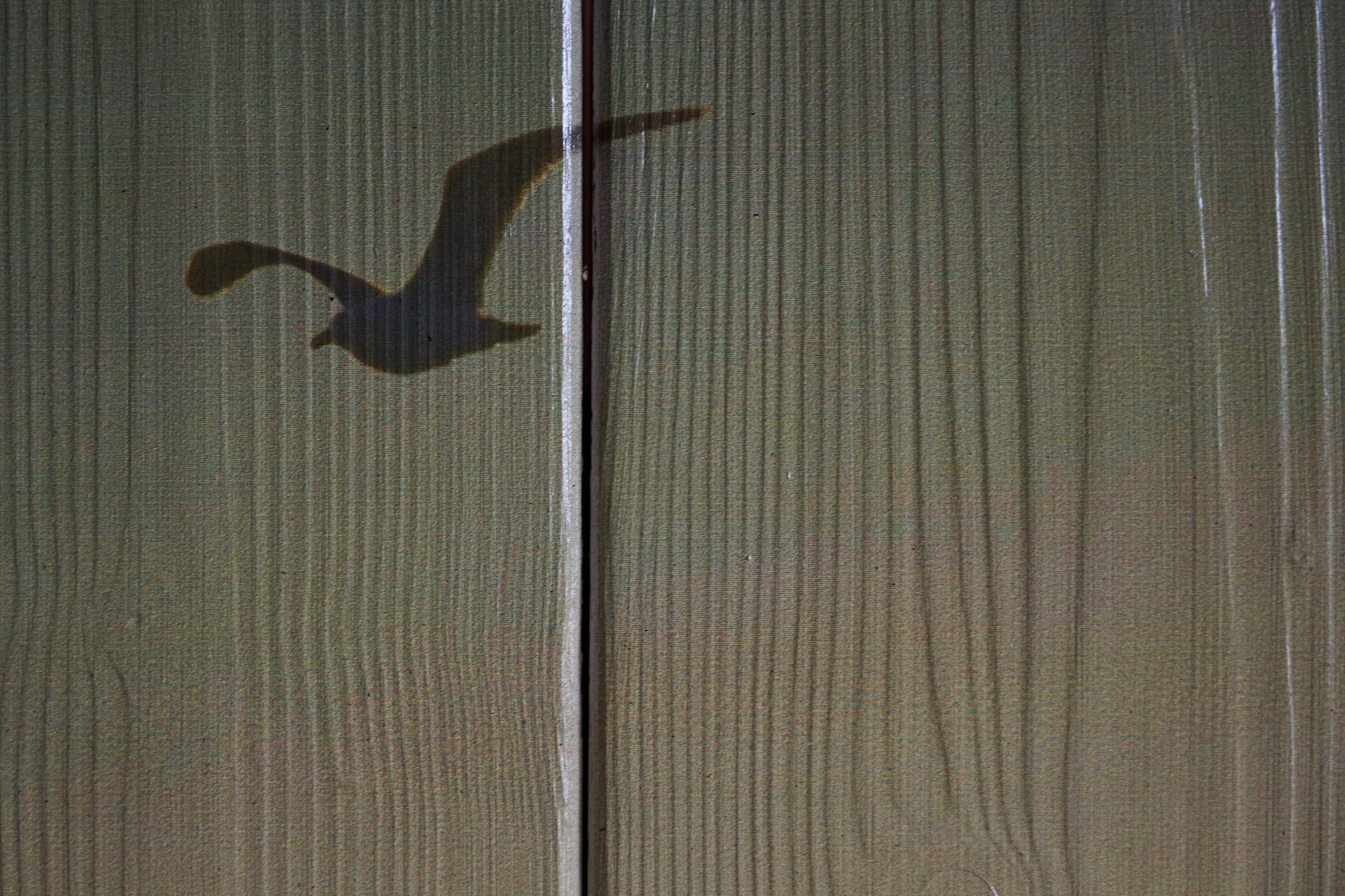 Готовые работы, на дереве, холсте, стекле. Яркие фото на Чёрном море