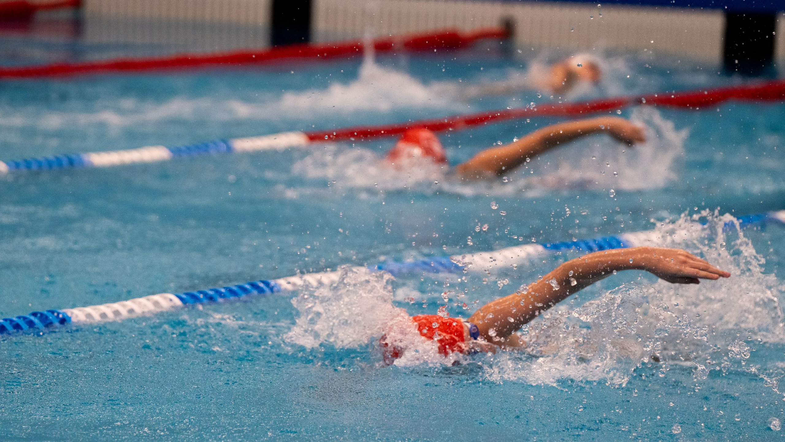 Открытый новогодний турнир по плаванию «Сила воды», 2025. Фотограф и видеооператор Екатерина Гнатюк