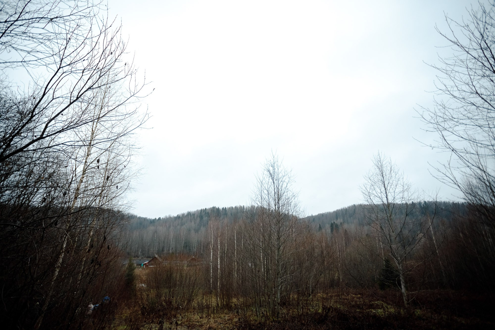 Поездка в вепсские деревни к «Лес и Ветер» 10-12.11.23. Портретный и свадебный фотограф в Санкт-Петербурге Ольга Филиппова