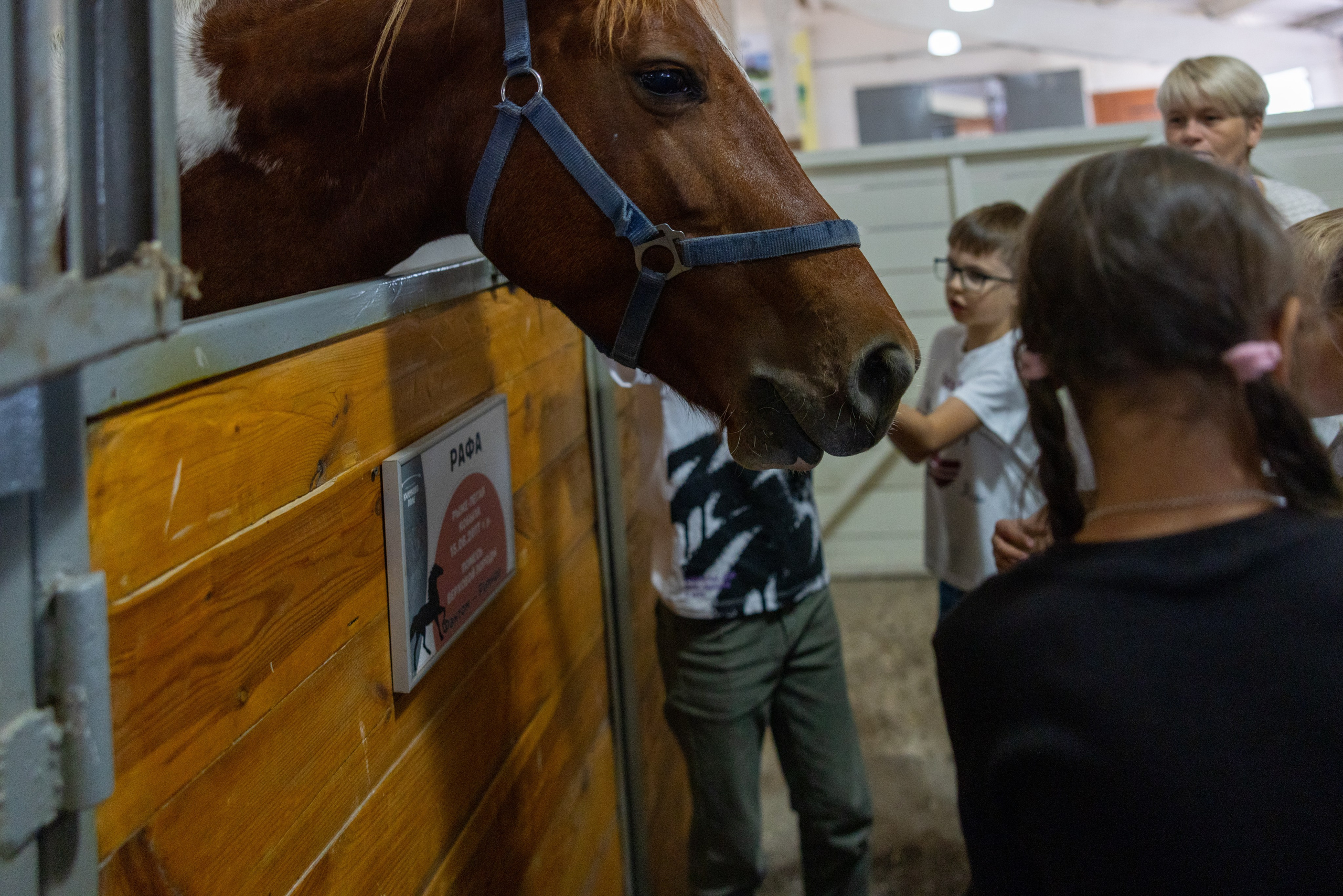 Поездка на поле Кулеково. Фотограф в Туле Крупский АнДРей. Фотостудия «КАДР71» в Туле