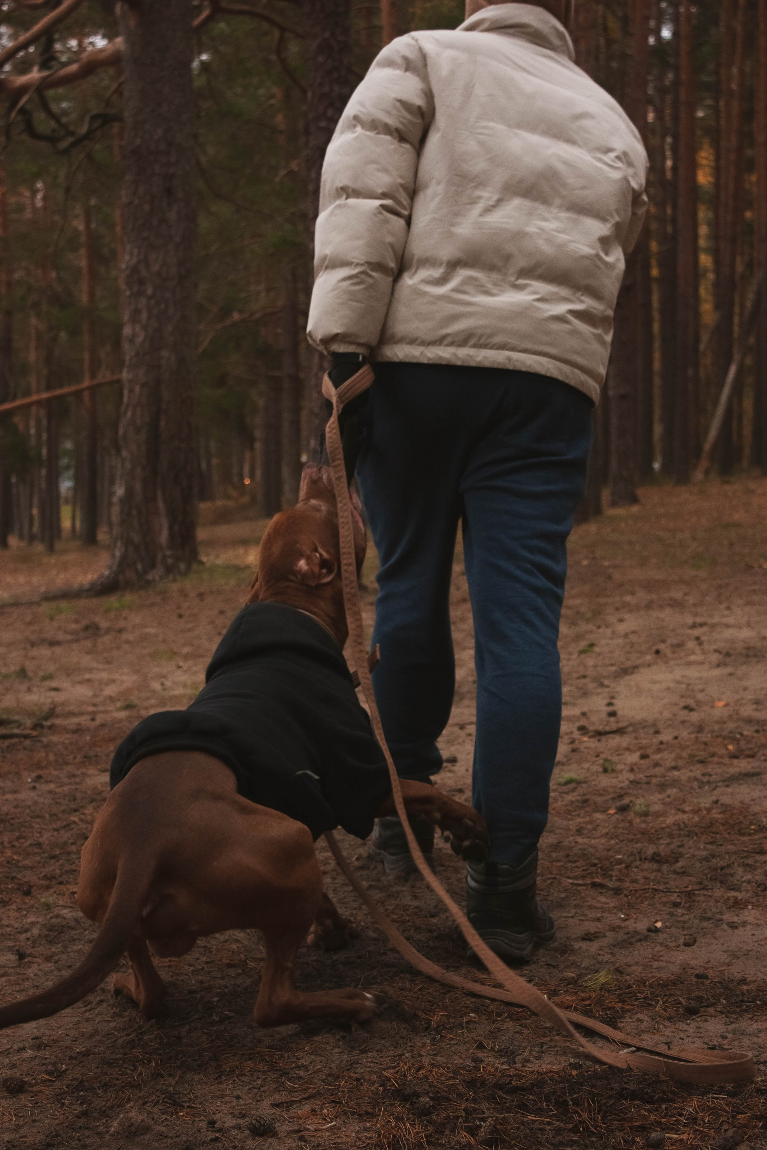 Айрон и Егор. Фотограф-анималист в Санкт-Петербурге Алина Яхонт