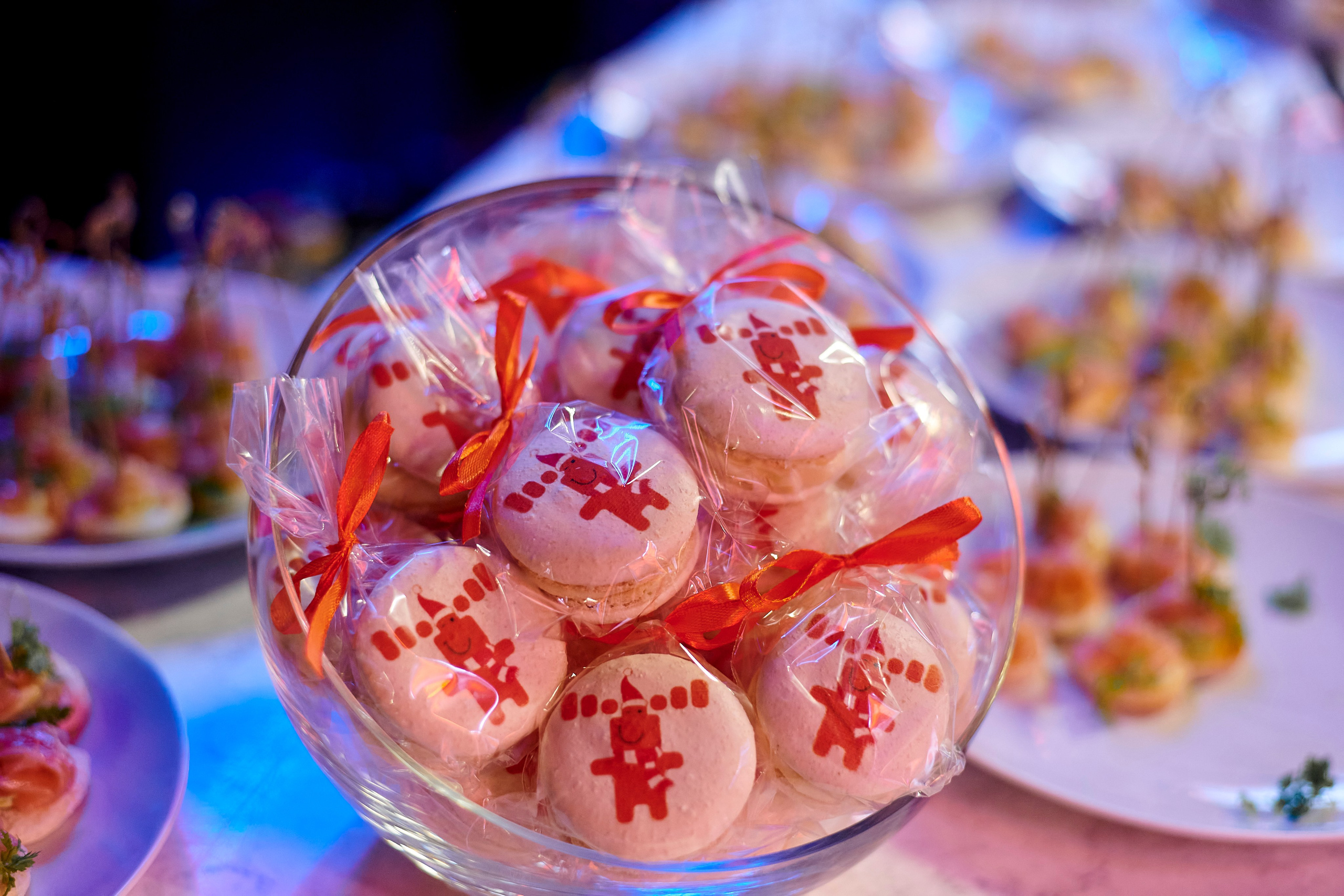 OCS Новогодний огонёк. Фотограф Постольник Дарья