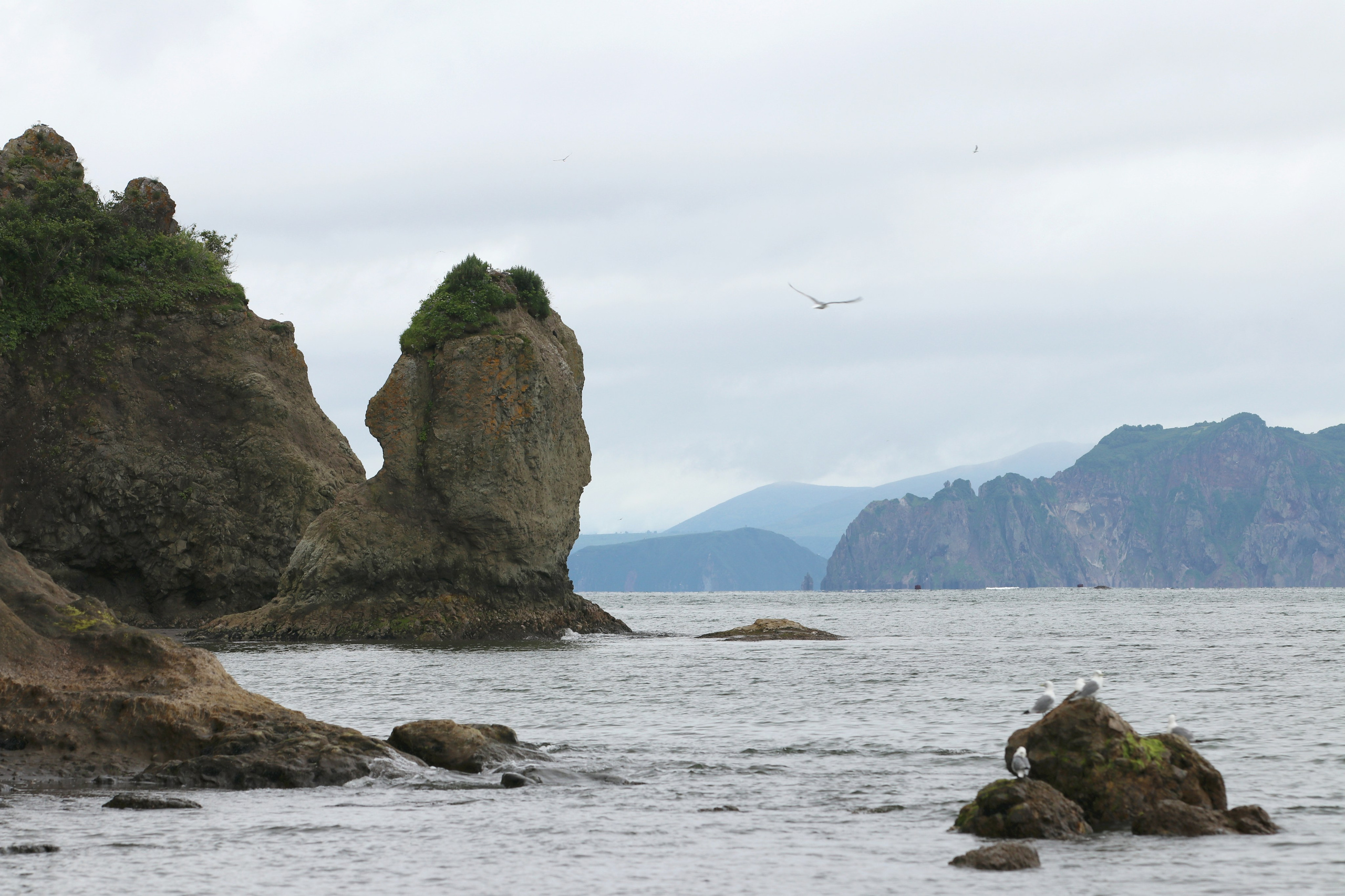 Камчатка и о. Парамушир. Июль 2024. Путешественник-фотограф из Санкт-Петербурга Татьяна Свистулина