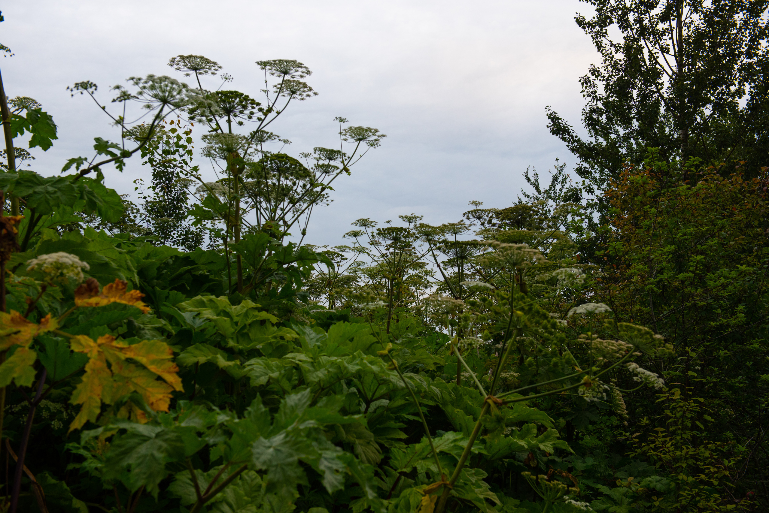 Арина/Татьяна. Портретный и архитектурный фотограф в Москве и Санкт-Петербурге