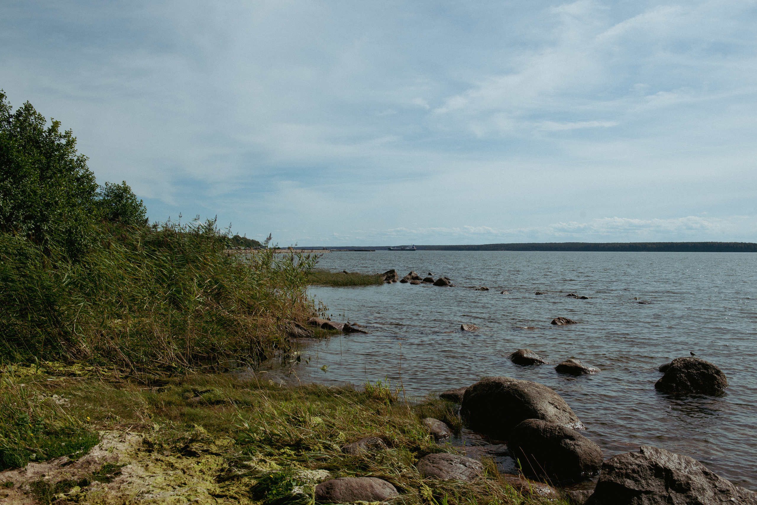 Кирха в Приморске. Портретный и архитектурный фотограф в Москве и Санкт-Петербурге