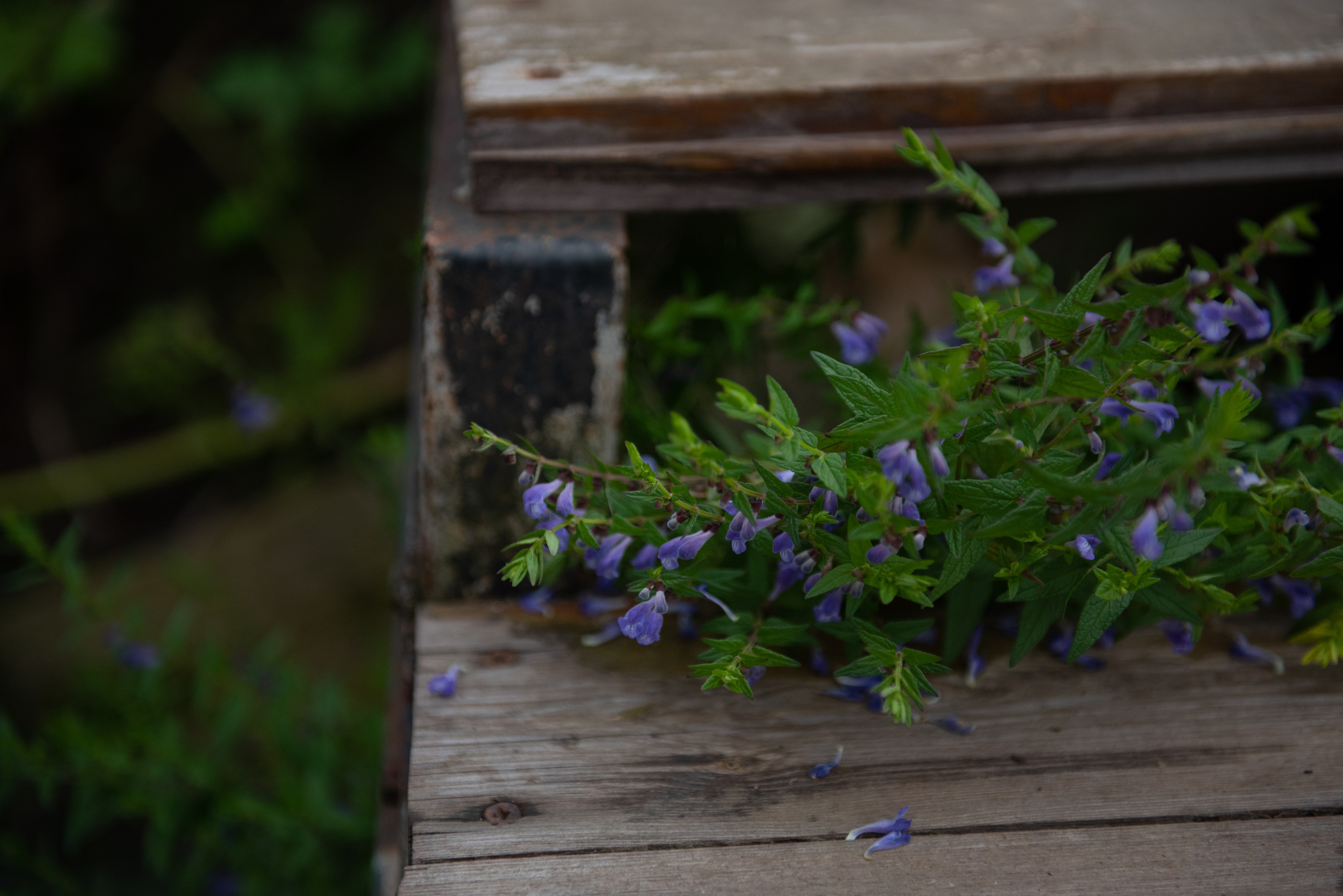 Арина/Татьяна. Портретный и архитектурный фотограф в Москве и Санкт-Петербурге