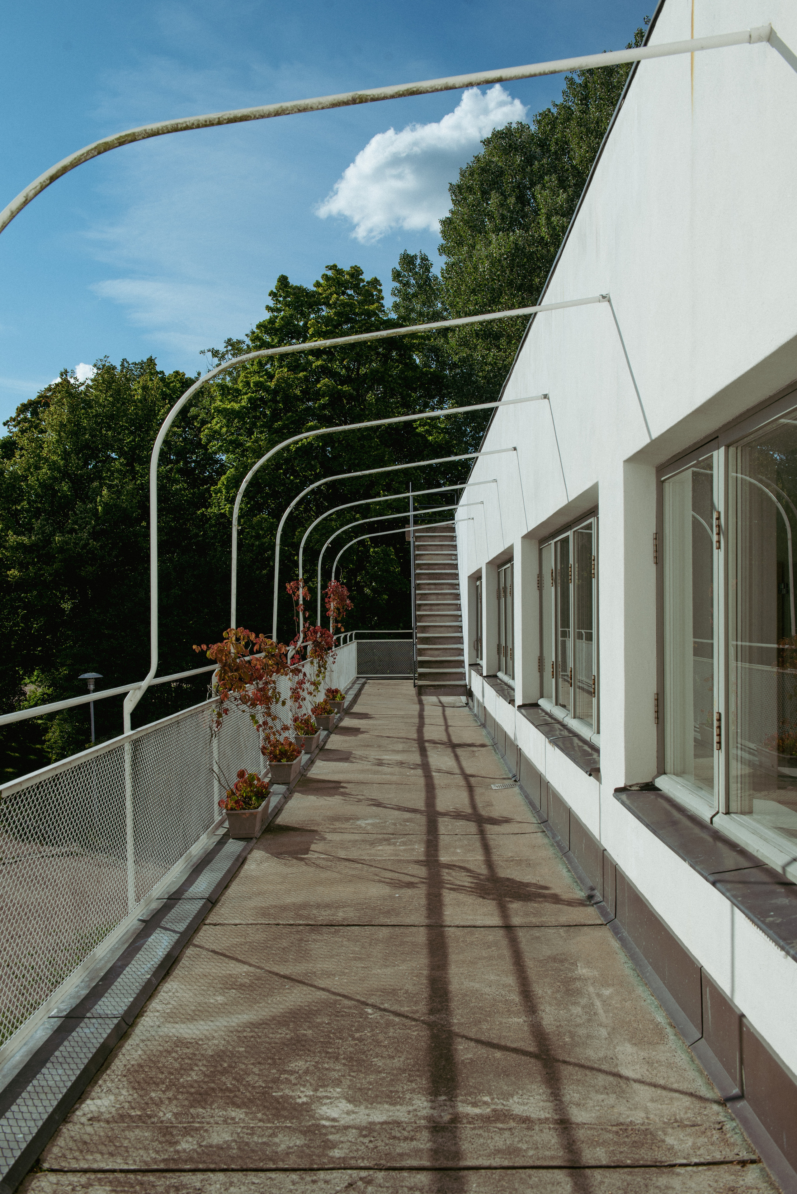 Библиотека Алвара Аалто. Портретный и архитектурный фотограф в Москве и Санкт-Петербурге