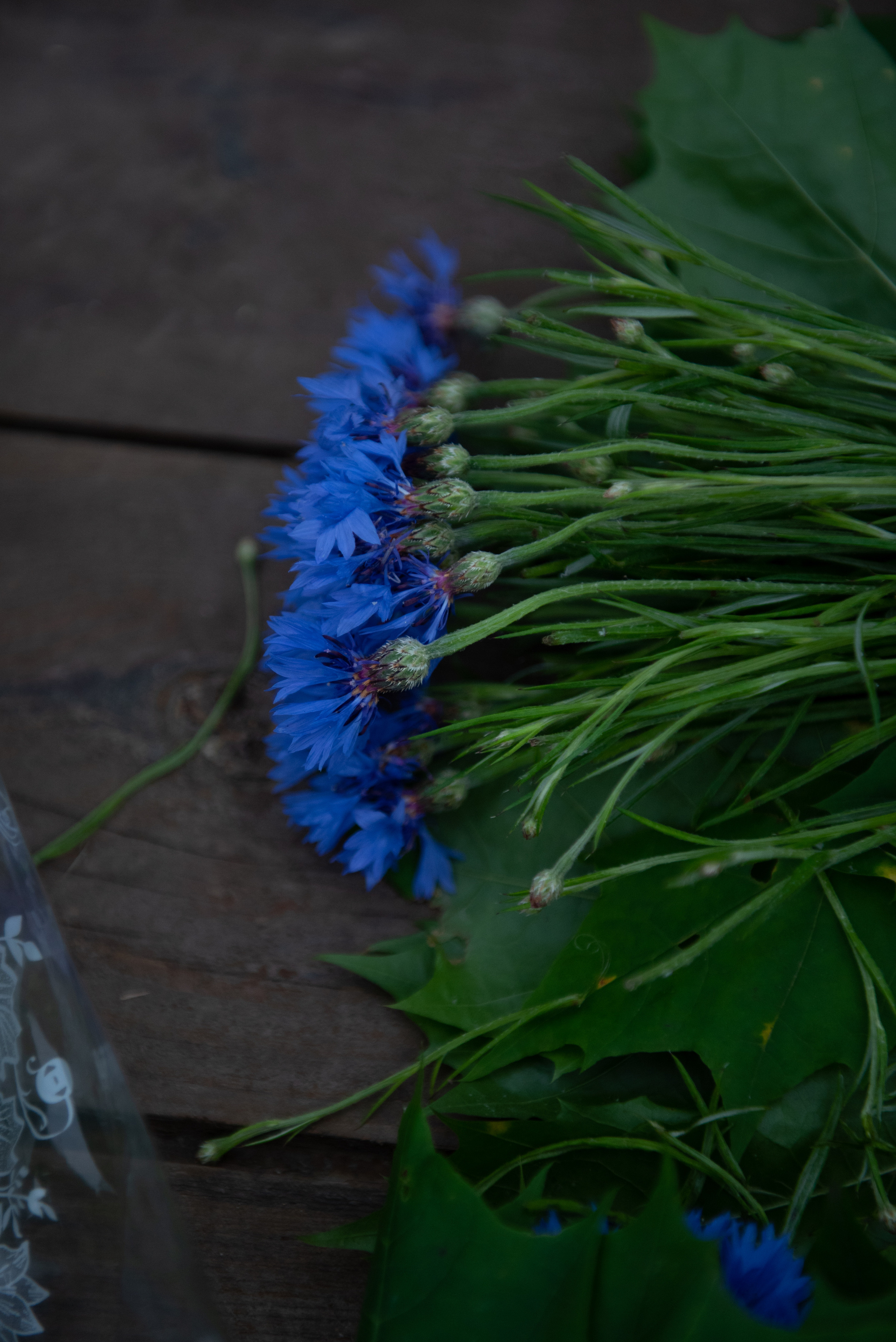 Арина/Татьяна. Портретный и архитектурный фотограф в Москве и Санкт-Петербурге