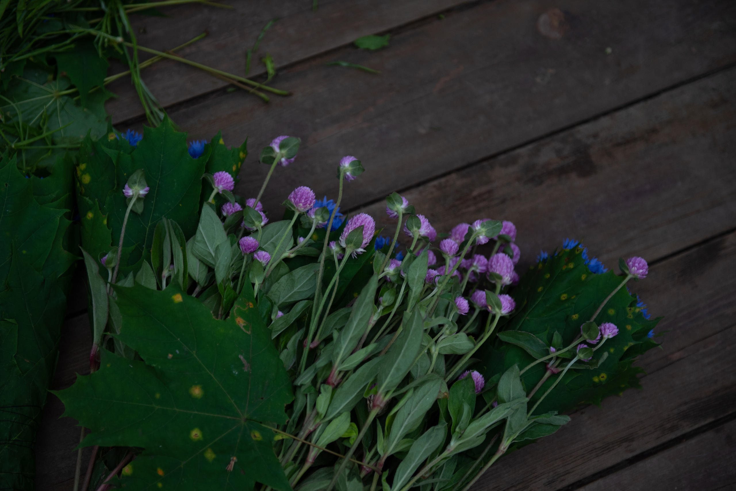 Арина/Татьяна. Портретный и архитектурный фотограф в Москве и Санкт-Петербурге