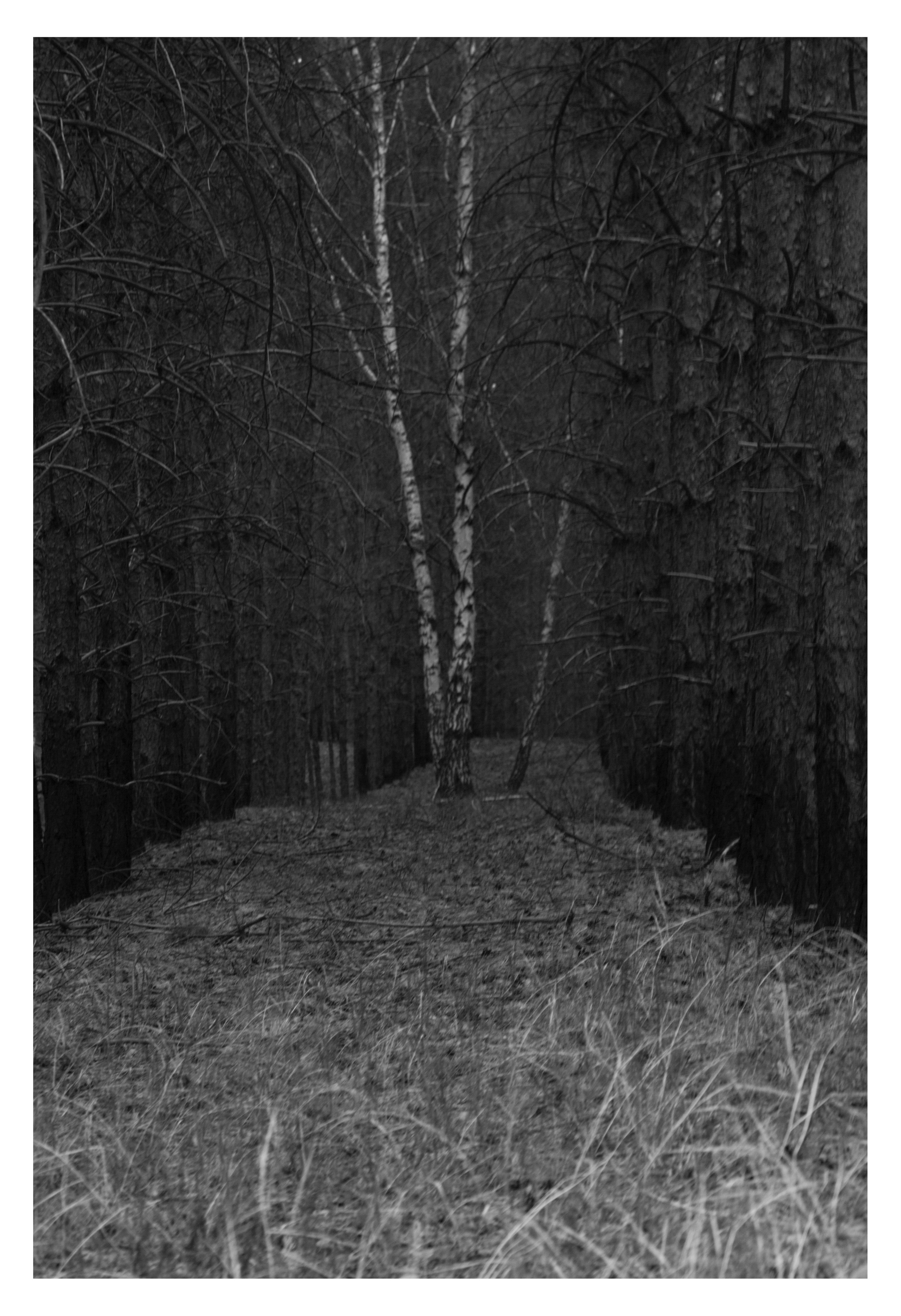 ДЕРЕВНЯ. Фотограф Манакова Ольга