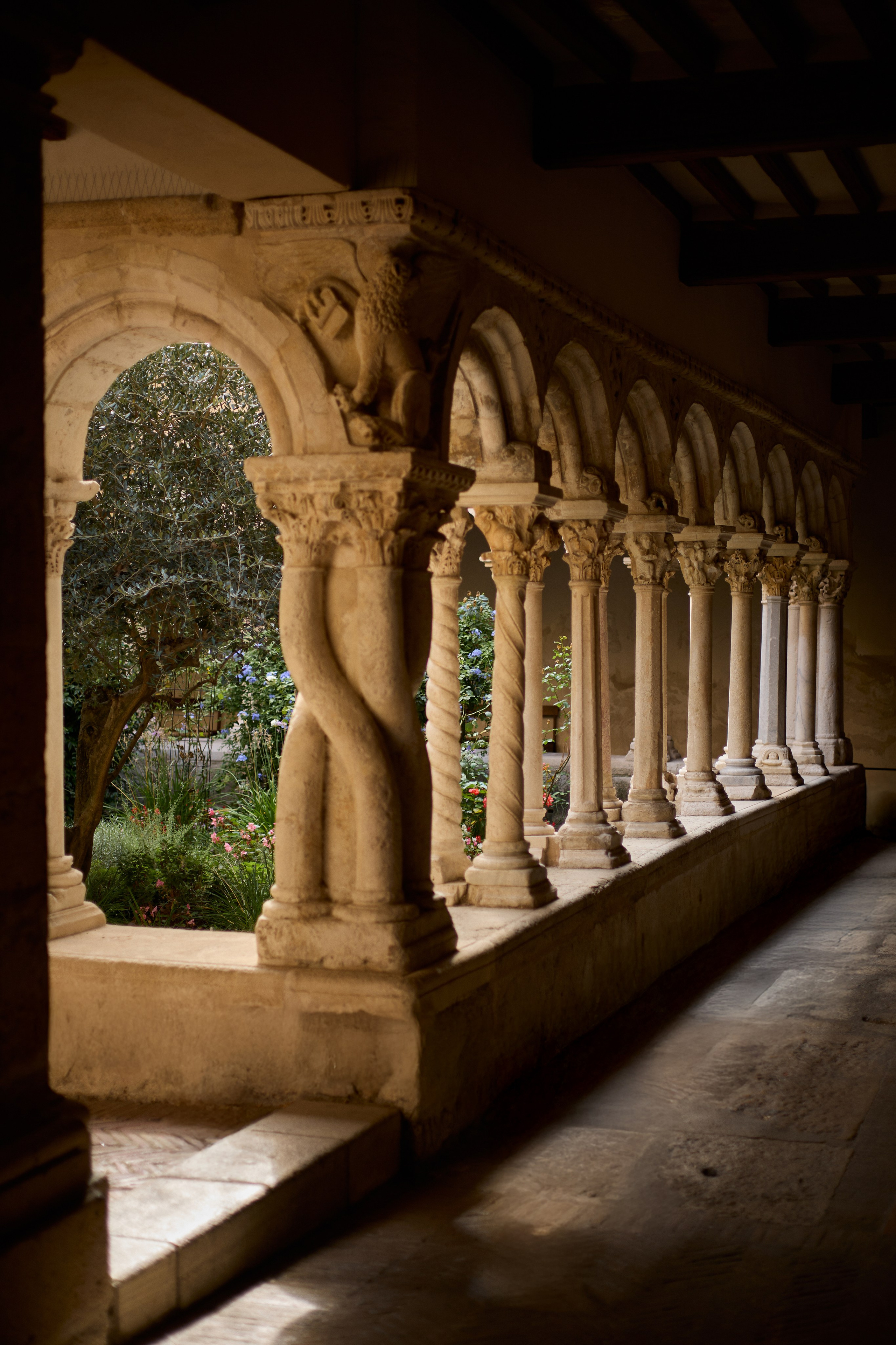France (Provence & Paris) Sep'25. Анастасия Зобнинá — фотограф в Санкт-Петербурге/СПб