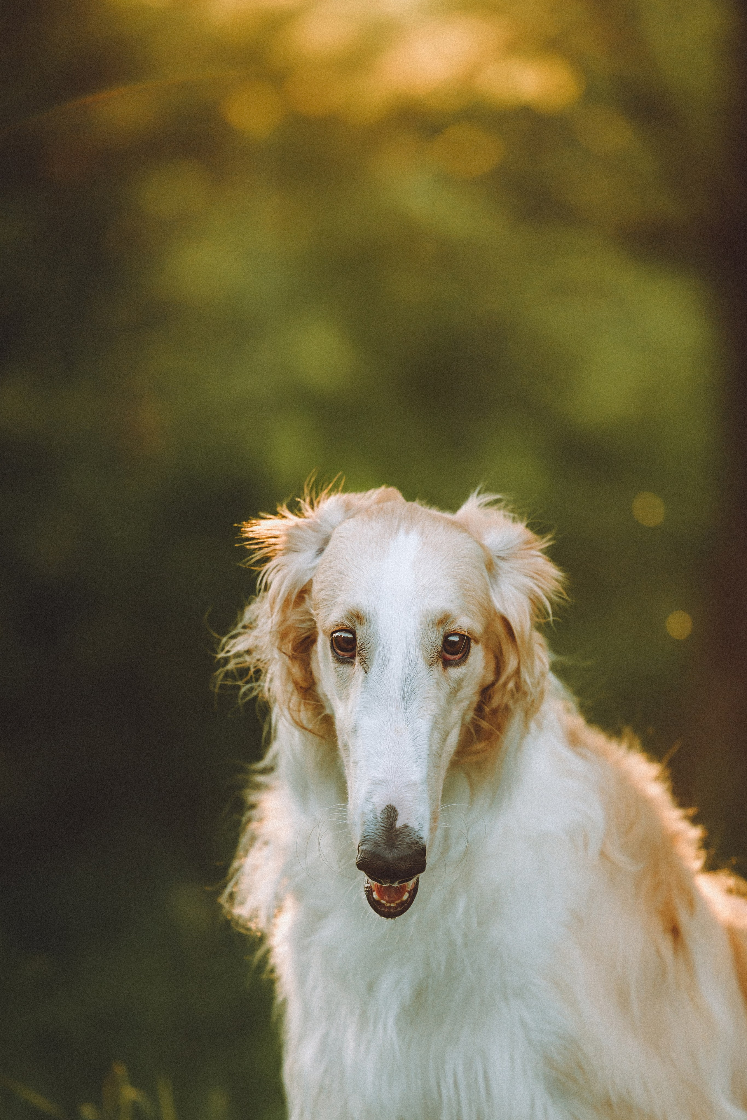 Илай, Зайка и их семья