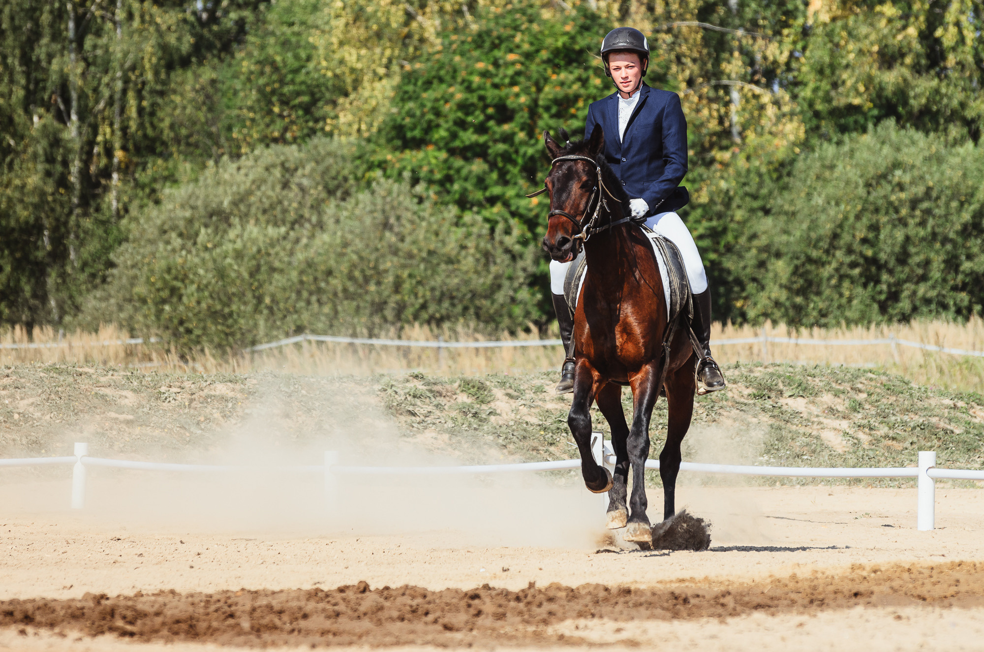 2022 Первенство по выездке в д. Хвосцово. Елена Чеснокова спортивный фотограф во Владимире и Белграде