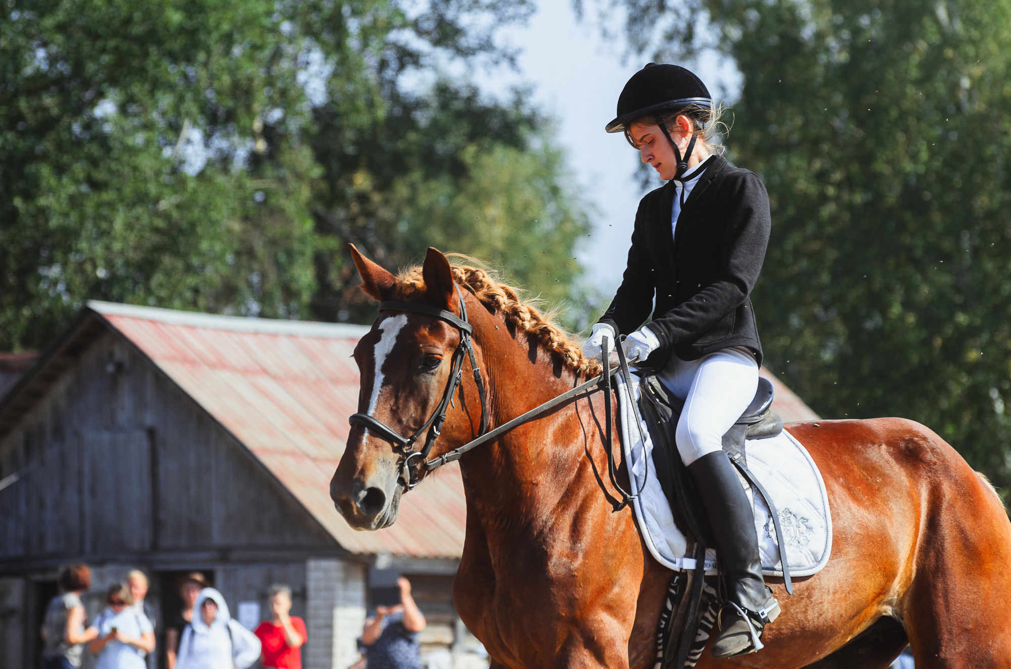 2022 Первенство по выездке в д. Хвосцово. Елена Чеснокова спортивный фотограф во Владимире и Белграде