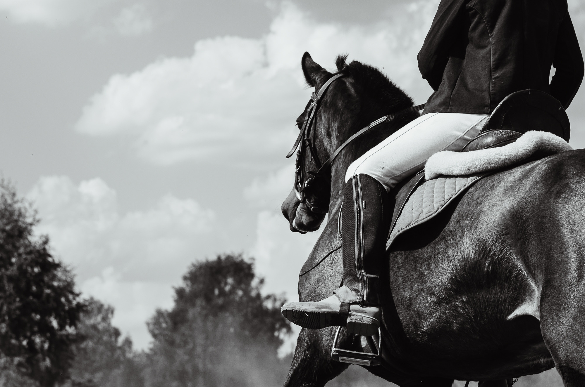 2022 Первенство по выездке в д. Хвосцово. Елена Чеснокова спортивный фотограф во Владимире и Белграде