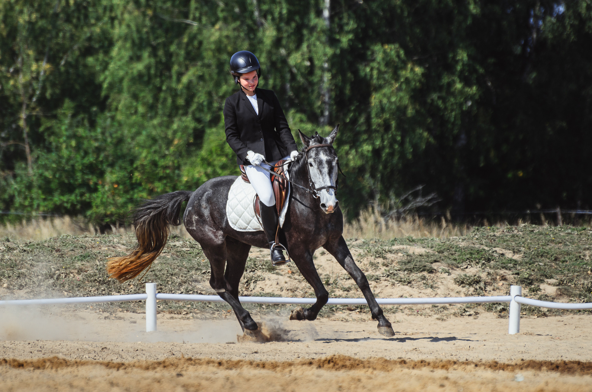 Соревнования по выездке во Владимирской области, Хвосцово, 2022 год.