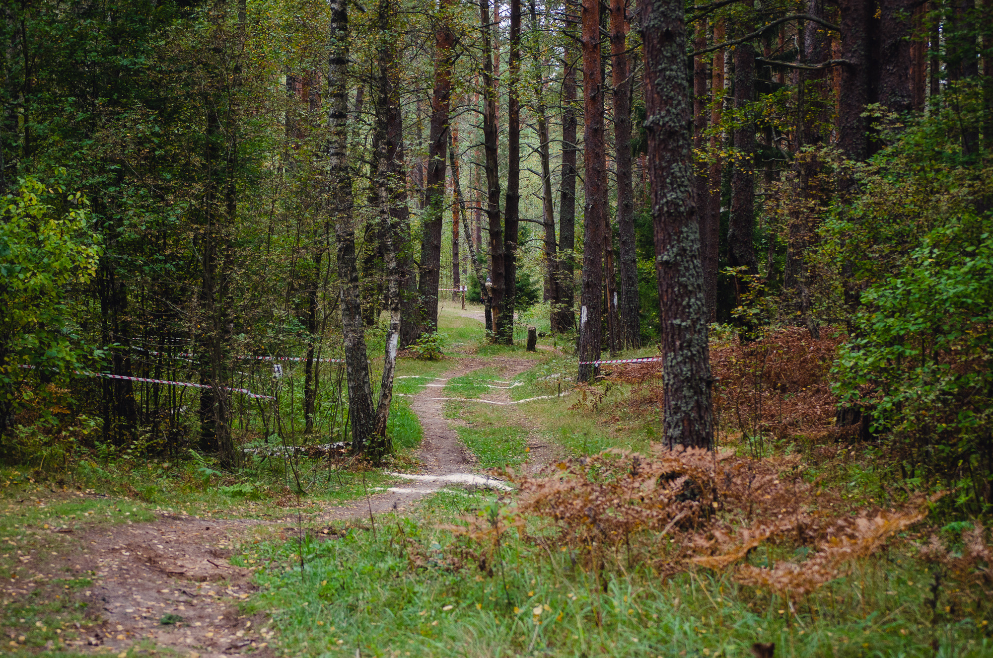 2021 Маунтинбайк. Этап Чемпионата Владимирской области в Селивановском районе. Елена Чеснокова спортивный фотограф во Владимире и Белграде