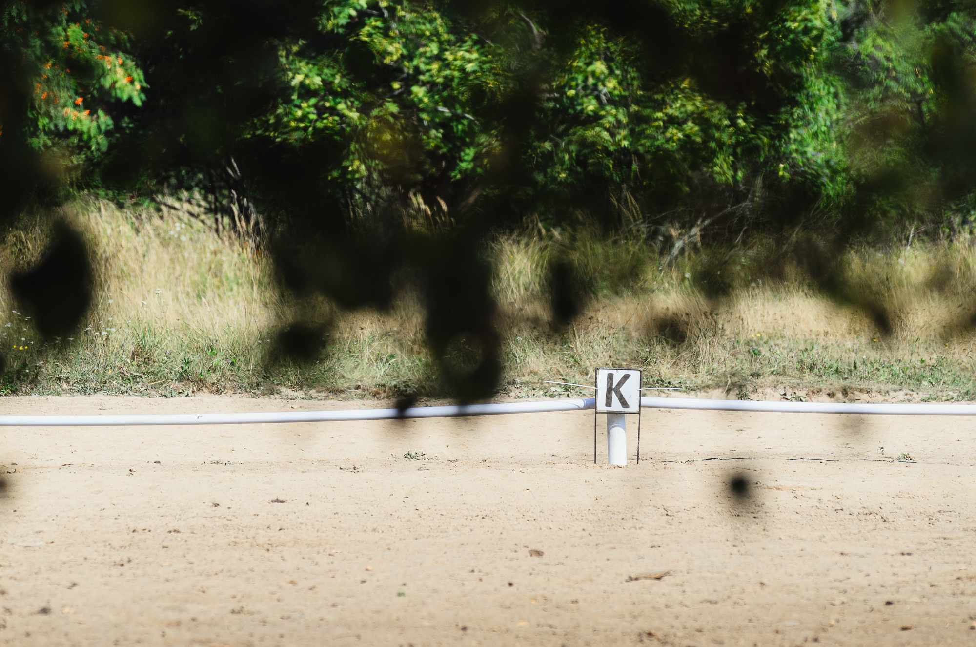 2022 Первенство по выездке в д. Хвосцово. Елена Чеснокова спортивный фотограф во Владимире и Белграде