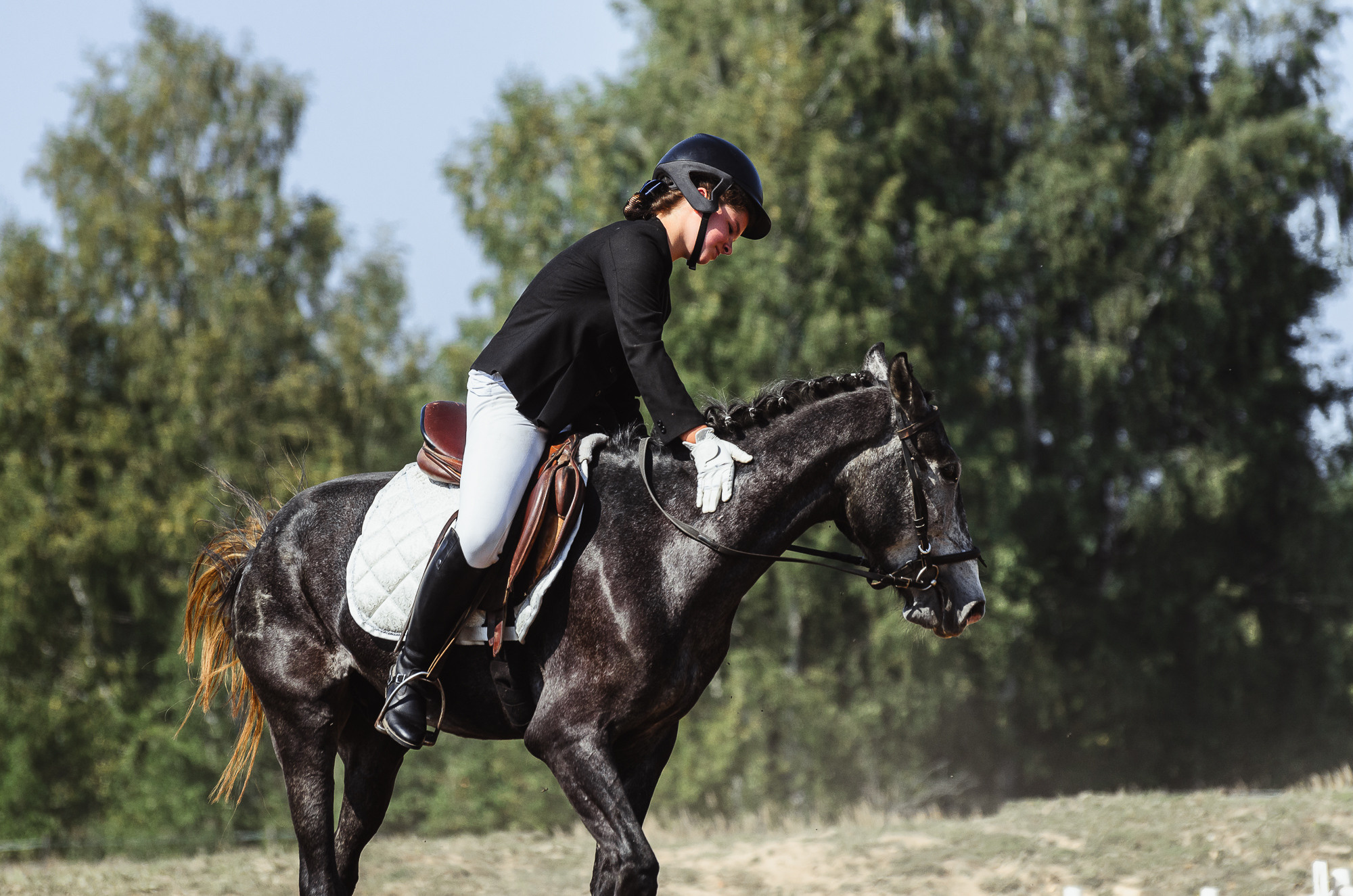 2022 Первенство по выездке в д. Хвосцово. Елена Чеснокова спортивный фотограф во Владимире и Белграде