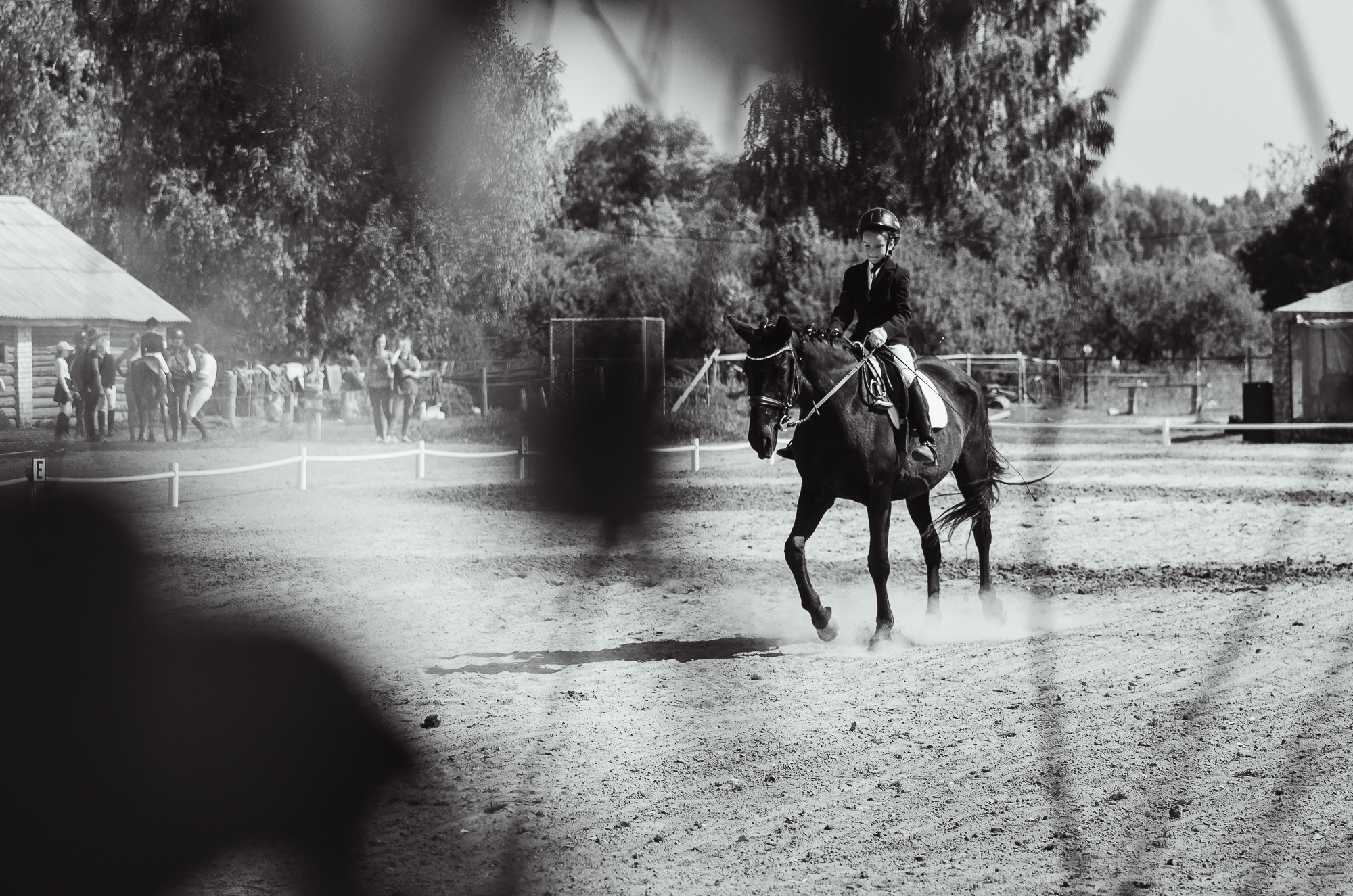 2022 Первенство по выездке в д. Хвосцово. Елена Чеснокова спортивный фотограф во Владимире и Белграде