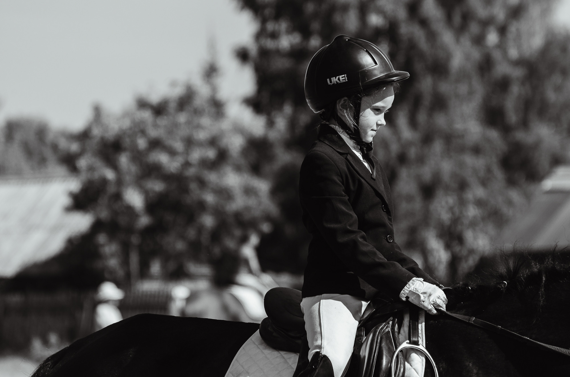 2022 Первенство по выездке в д. Хвосцово. Елена Чеснокова спортивный фотограф во Владимире и Белграде