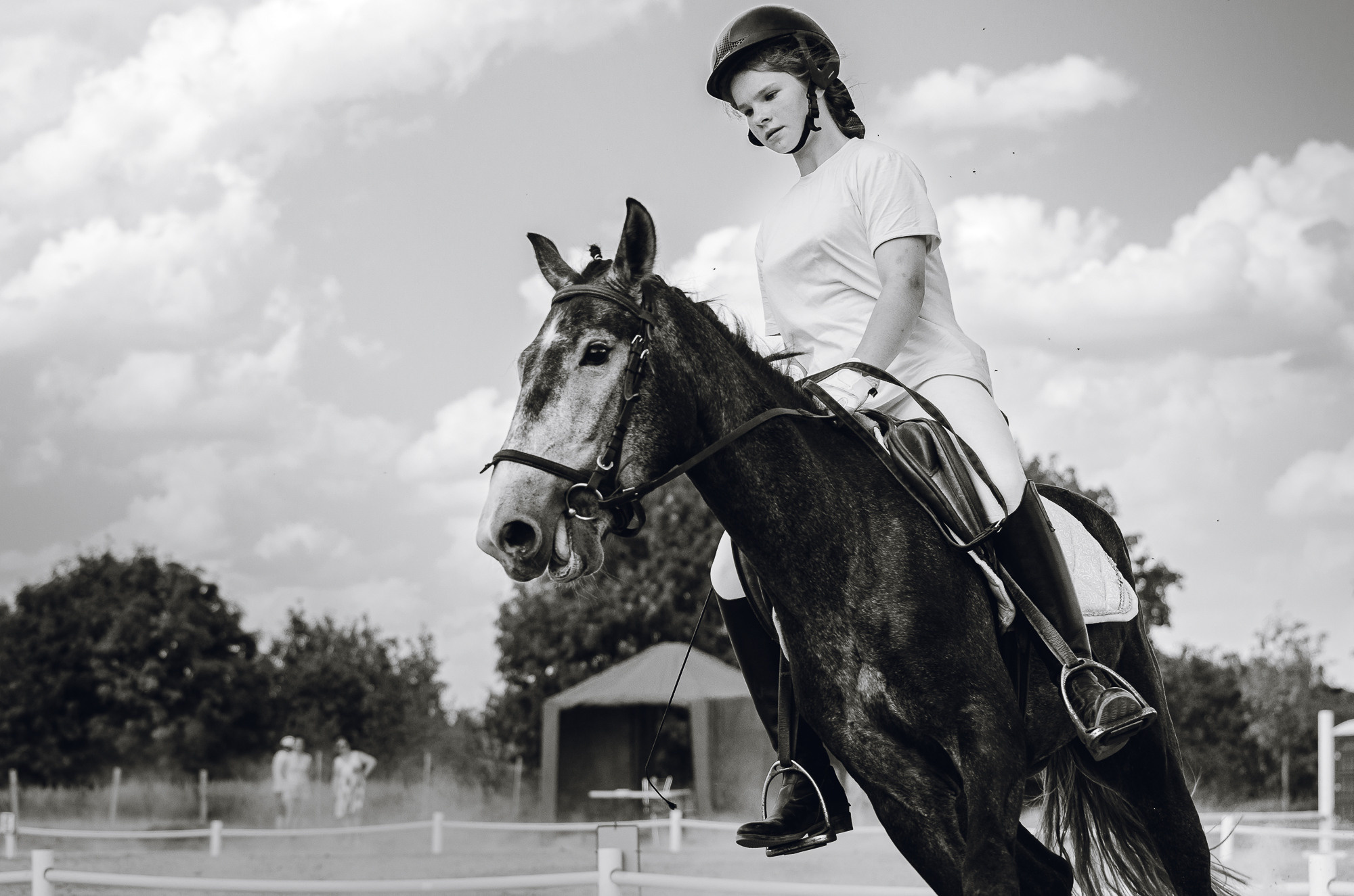 2022 Первенство по выездке в д. Хвосцово. Елена Чеснокова спортивный фотограф во Владимире и Белграде
