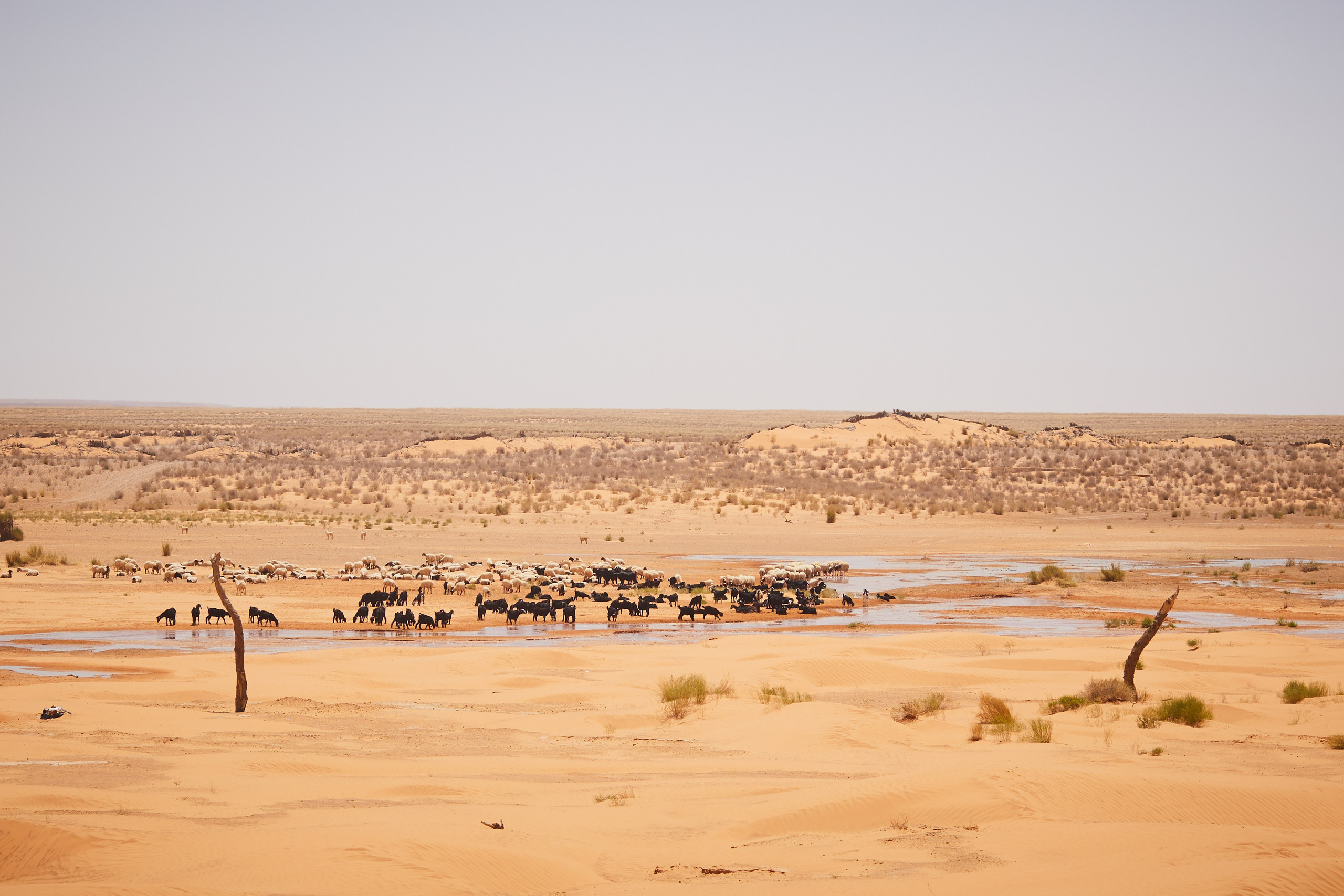 Тунис. Рекламный коммерческий фотограф в Москве Владимир Лукьянов