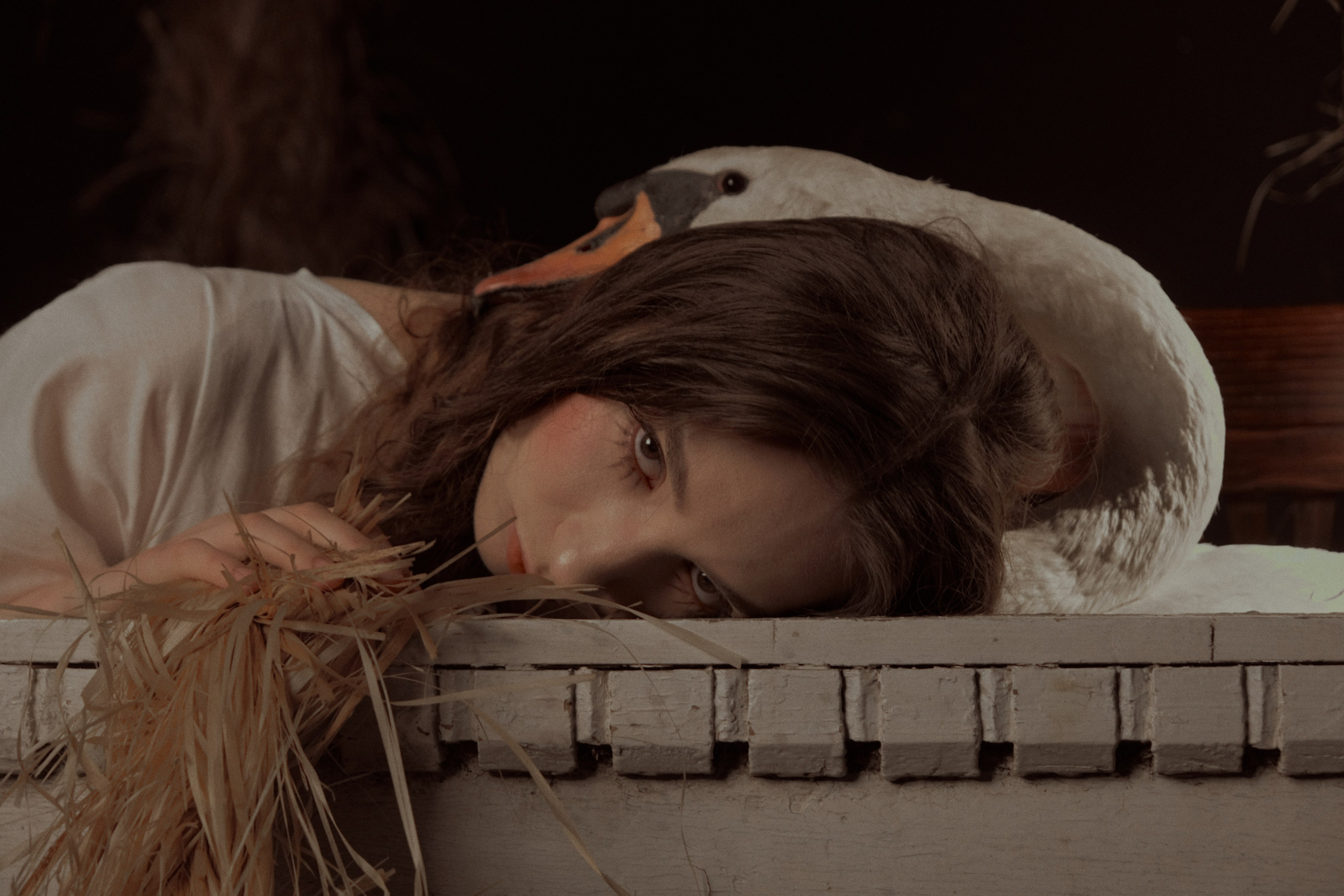 Гуси Лебеди. Фотограф Настя Лев