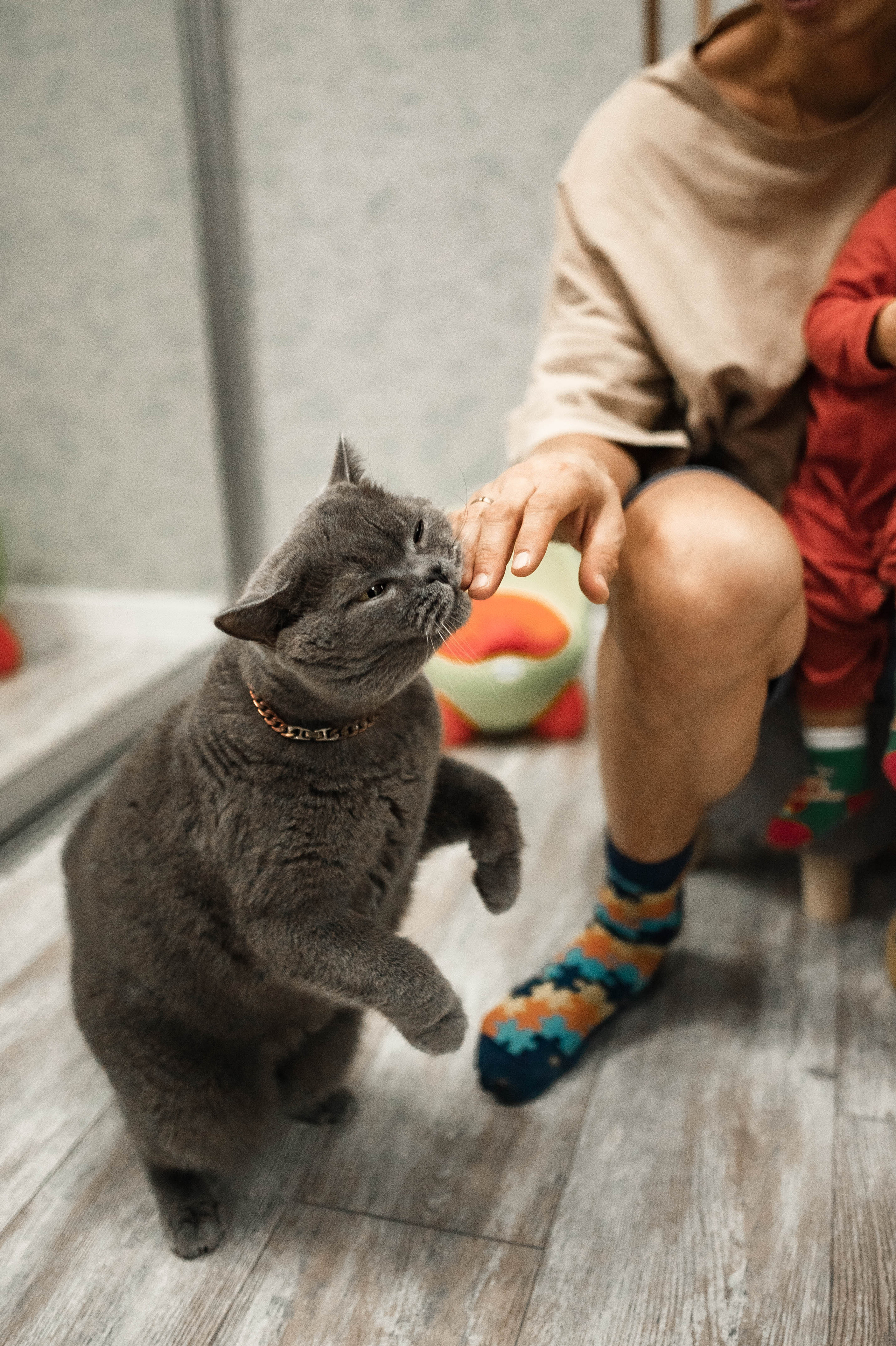 Когда дома счастье живёт. Семейный и детский фотограф в Санкт-Петербурге Татьяна Дмитренко