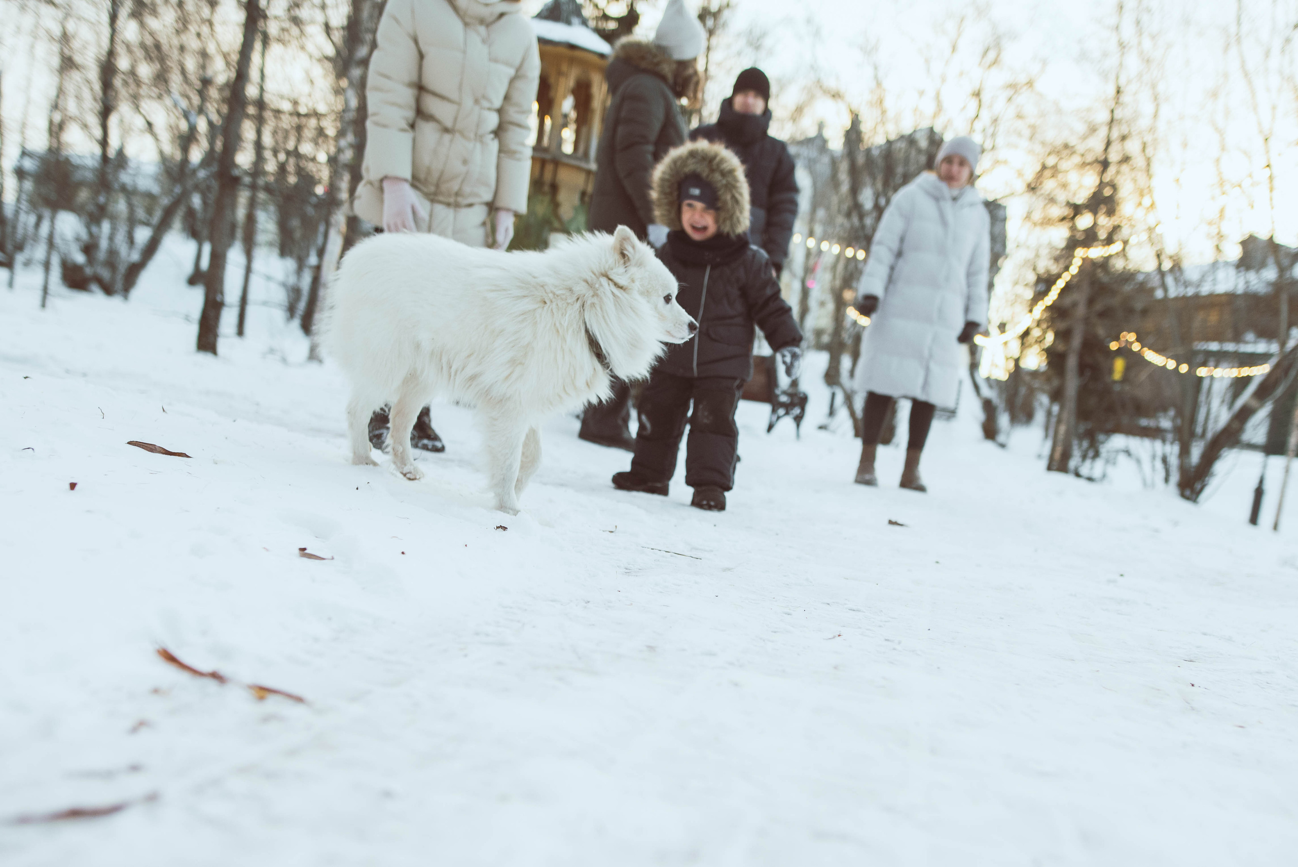 Когда все вместе. Семейный и детский фотограф в Санкт-Петербурге Татьяна Дмитренко