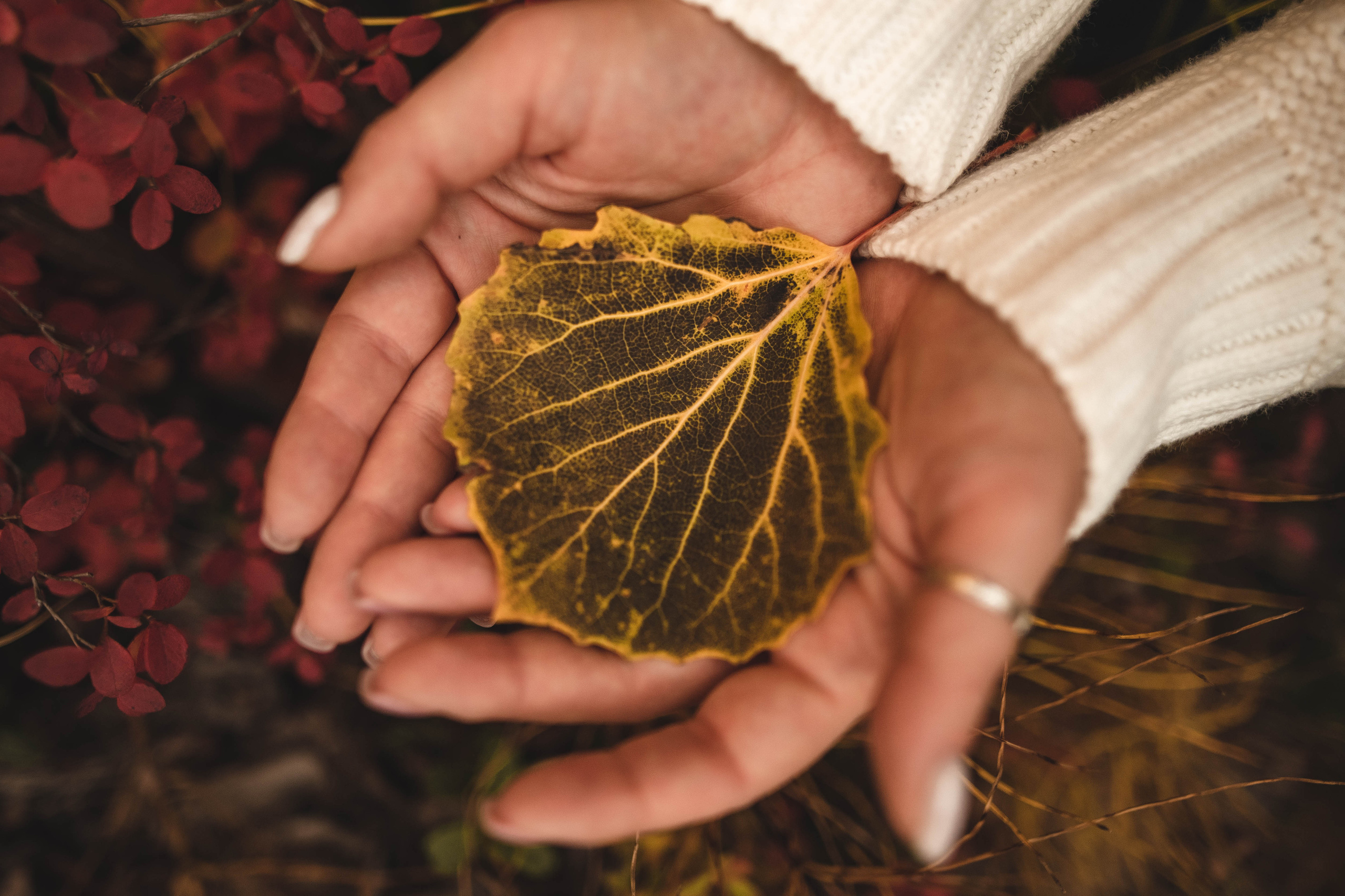 Александра. Семейный и детский фотограф в Санкт-Петербурге Татьяна Дмитренко