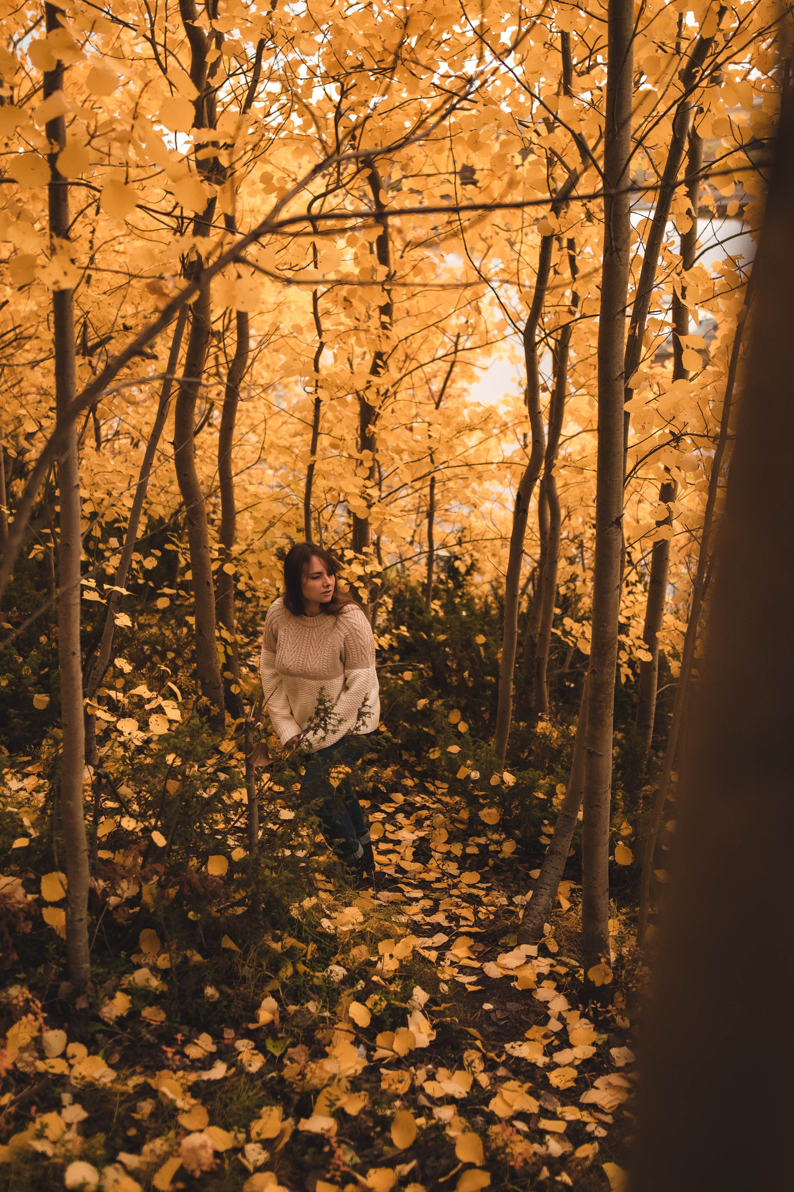 Александра. Семейный и детский фотограф в Санкт-Петербурге Татьяна Дмитренко