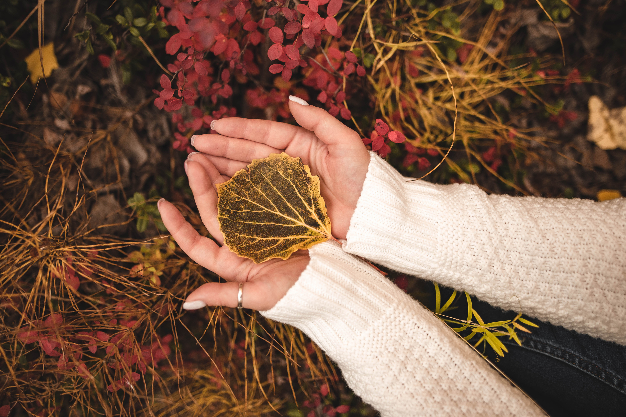 Александра. Семейный и детский фотограф в Санкт-Петербурге Татьяна Дмитренко