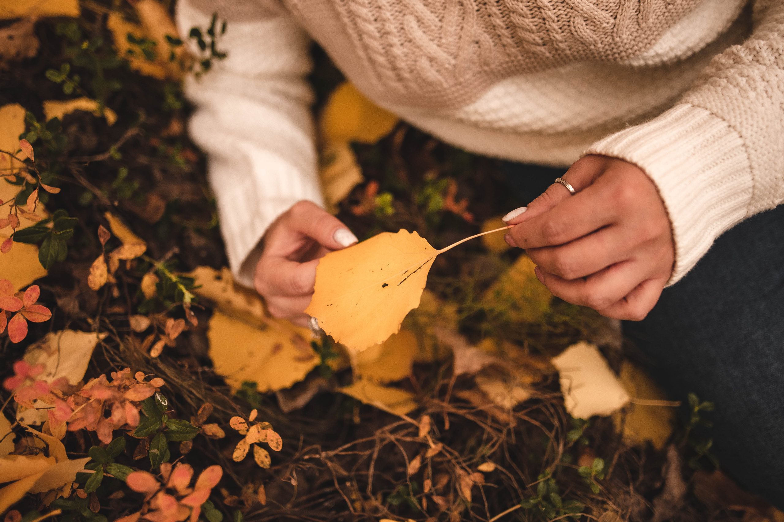 Александра. Семейный и детский фотограф в Санкт-Петербурге Татьяна Дмитренко