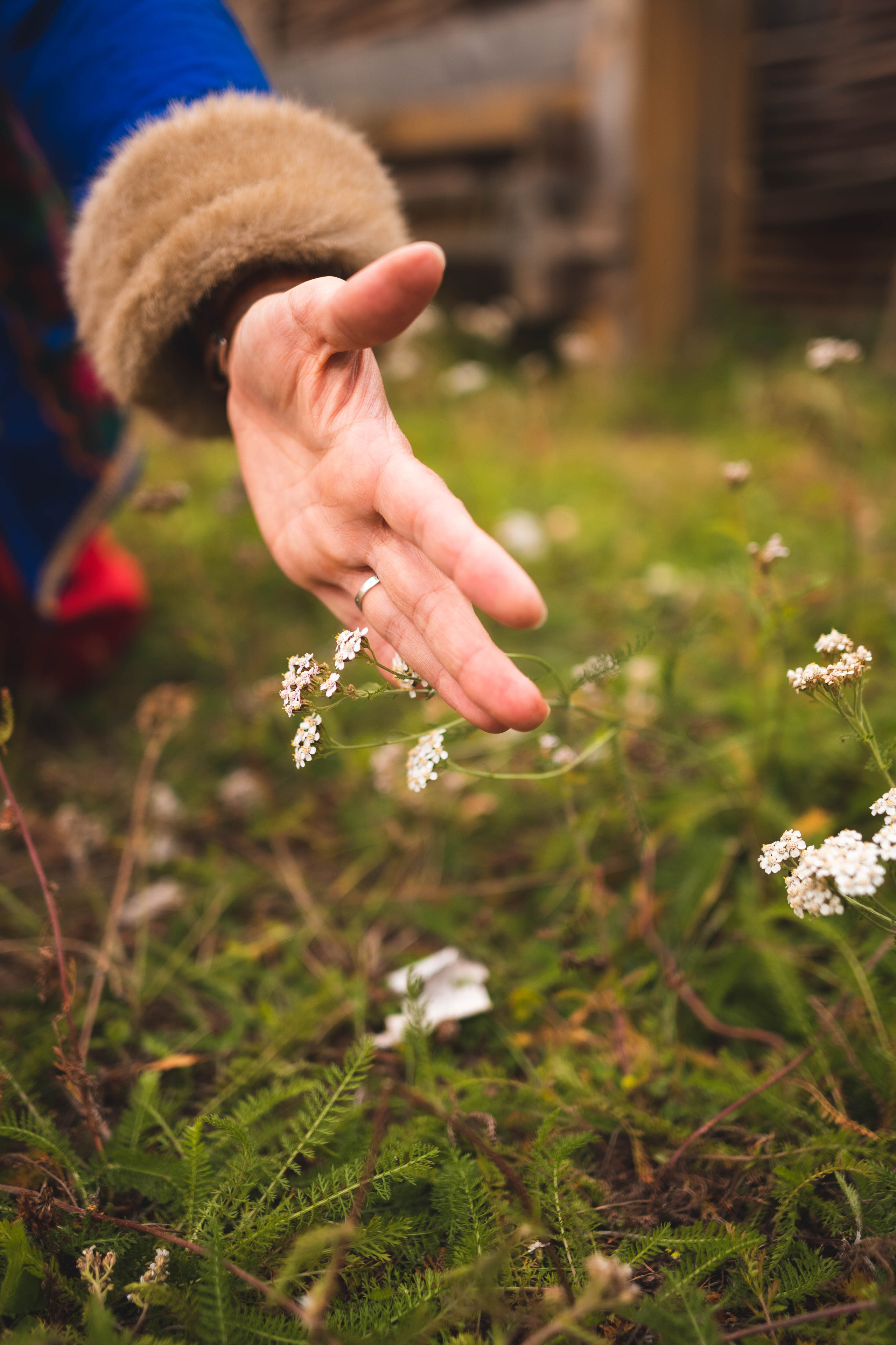 Оксана. Семейный и детский фотограф в Санкт-Петербурге Татьяна Дмитренко