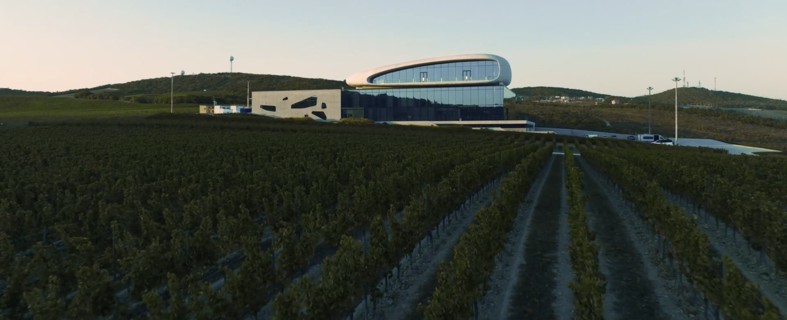 2022-2024 ЗЕМЛЯ ВИНОДЕЛОВ. Дарья Каширина