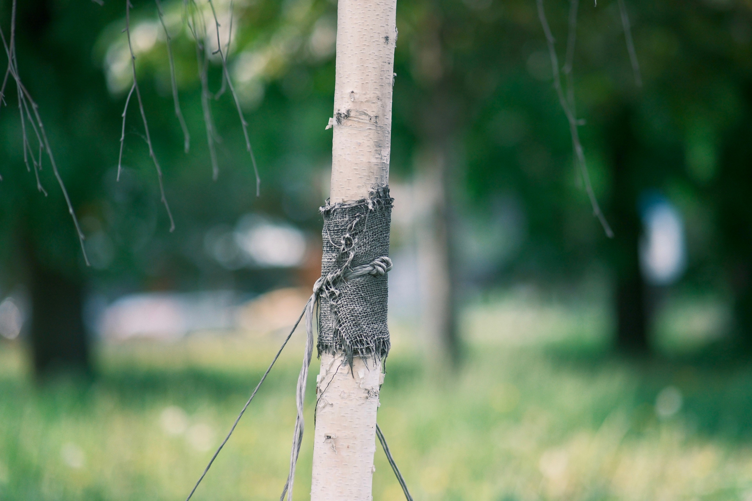 Фотограф Москва. Фотограф и художник в Москве Евгения Нюнина