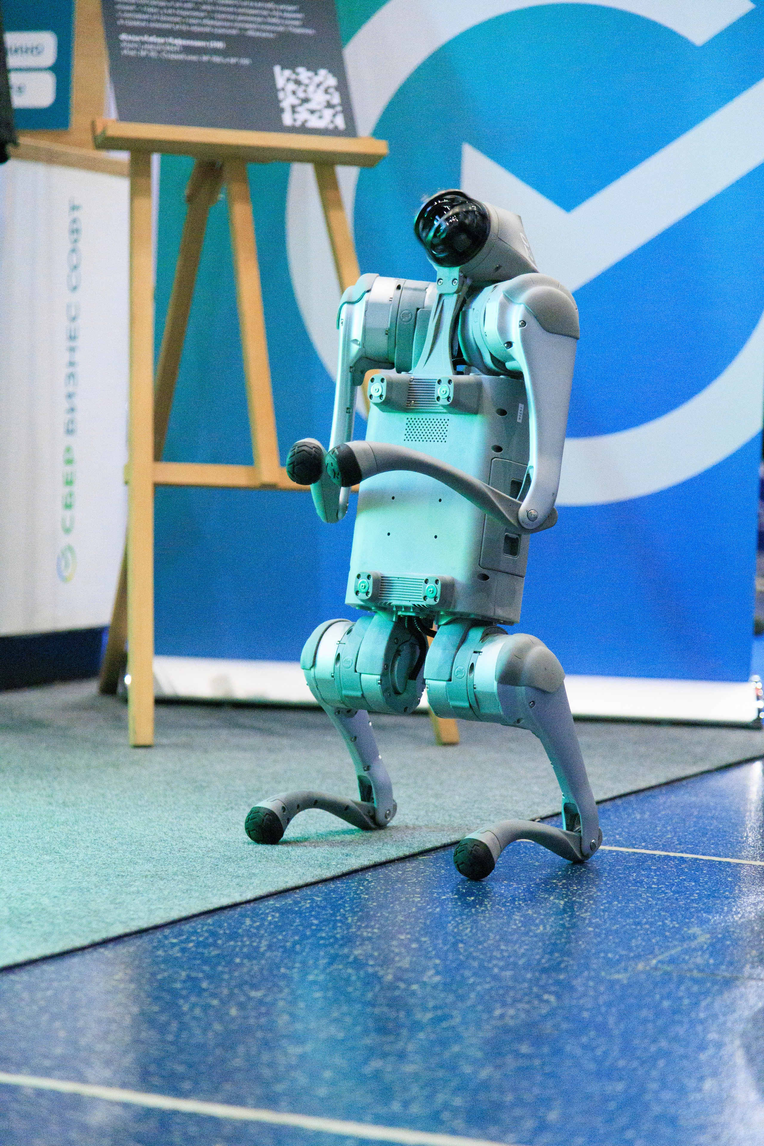 Цифроземье_2024